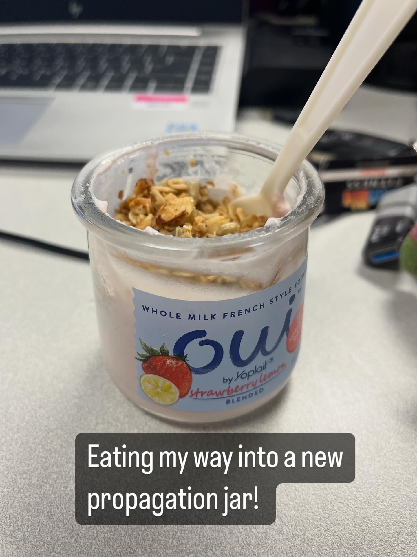 #propagation #propagating #houseplants #plants #gardening #oui #yogurt #plants #diywithchelsea