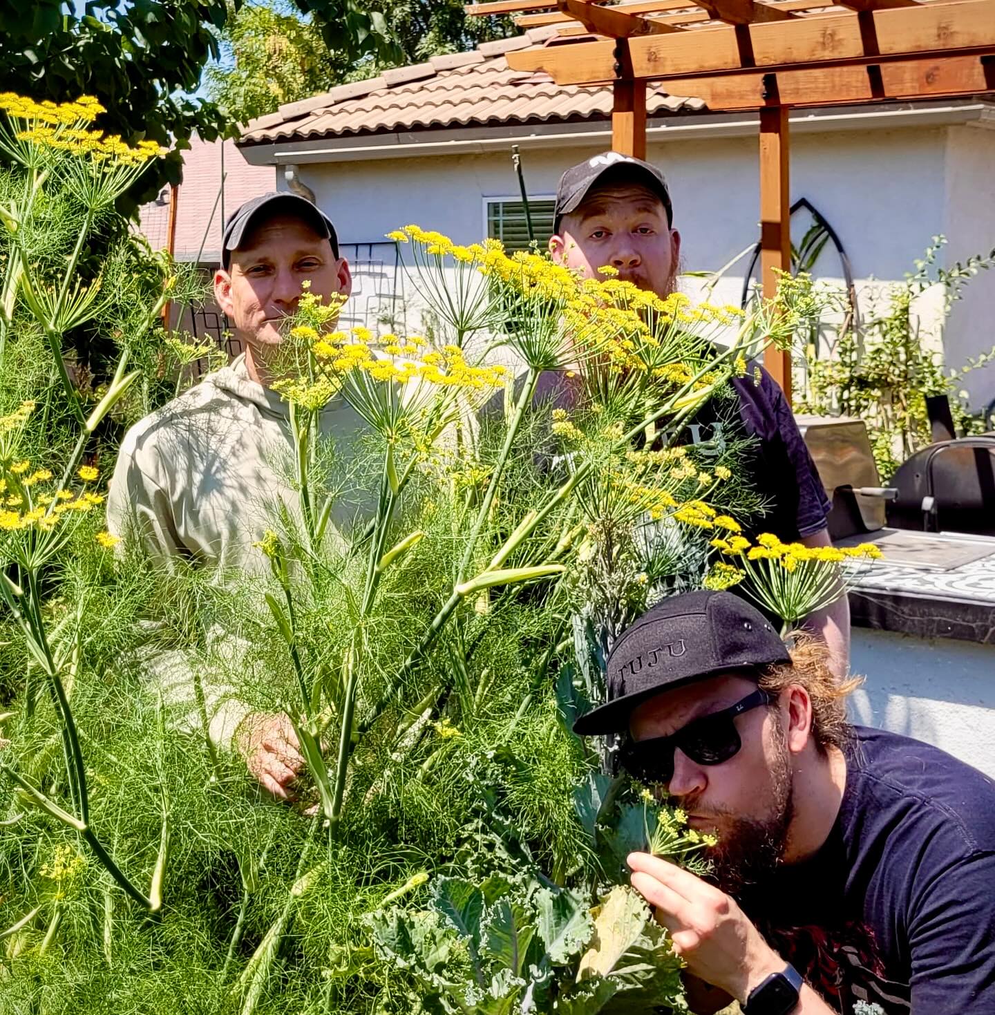 Coyotes, and serpents, and chickens…oh my! 🇺🇸
Today we’re back in Southern California, foraging for botanicals for a special wild ale collab with our friends at @sourcellars ! We’ve been hiking through the mountains, field-handing in backyards, and encountering all sorts of wild beasts along the way!*
This crazy concoction features a brilliant Zinfandel barrel-aged wild ale base blended with an in-your-face bouquet of Thai lime leaves and peel, fennel, California laurel bay leaves, and Cuban oregano, all of which were freshly harvested today by our combined brewery teams! Expect this wicked wild to have an exceptionally herbal, almost absinthe-like flavor profile, with soft aromas of citrus oil, licorice, and tropical spices.
This has been an absolutely incredible trip and we would like to extend a huge thank-you to Chintya and Bryan for being exceptionally gracious hosts! Amazing people making amazing beers, wines, and meads! Stay tuned for their visit to our brewery soon! We have a special Sour Cellars tasting event at the Tuju Taproom on Wednesday, 11.06, at 18:00! Don’t miss it!
*No chickens were harmed during the making of this beer, but the sales rep may not be able to feel his feet…
——-
Kojootteja, käärmeitä ja kanoja… herra siunaa! 🇫🇮
Tänään olemmekin Etelä-Kalifornian vuoristoissa etsimässä raaka-aineita yhteistä villioluttamme varten ystäviemme @sourcellars kanssa! Päivän ohjelma on sisältänyt hikistä vaellusta vuorilla, raaka-aineiden etsimistä takapihalta ja erilaisia kohtaamisia villieläinten kanssa.
Päivän tynnyriblendauksemme sisältää Zinfandel-tynnyrikypsytetyn oluen, johon on sekoitettu itsekerättyjä thaimaalaisia limen lehtiä, fenkolia, kalifornialaisia laakerinlehtiä ja kuubalaista oreganoa. Lopputulos tulee sisältämään yrttistä ja absinttimaista makuprofiilia, jossa on pehmeä sitrusöljy, lakritsi ja trooppisten mausteiden paletti hellii makuhermoja.
Uskomaton päivä ollut täällä Rancho Cucamongassa ja suuri kiitos Chintyalle ja Bryanille poikkeuksellisen ystävällisestä isännöinnistä!