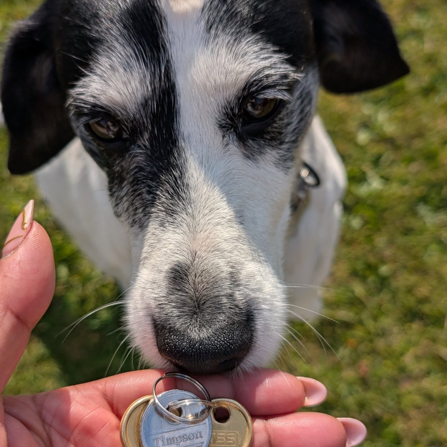 Thank you for your orders delivery/post all done!
Part one of the thing we don't talk about is over!
Finally got the keys for the studio and someone is excited about retiring!๐ฅ๐พ๐