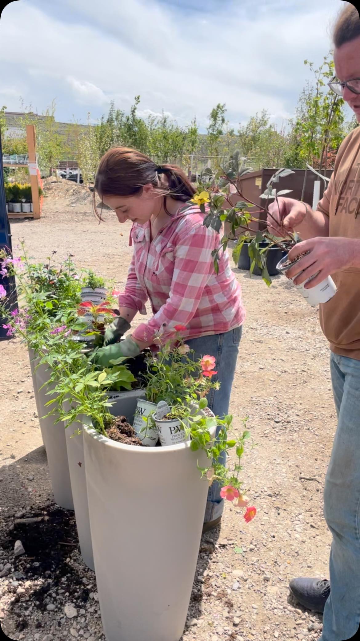 Been planting up a storm here #codywyoming #dosomethingyoulove #mylittleplantshop #zone4gardening #provenwinnersplants