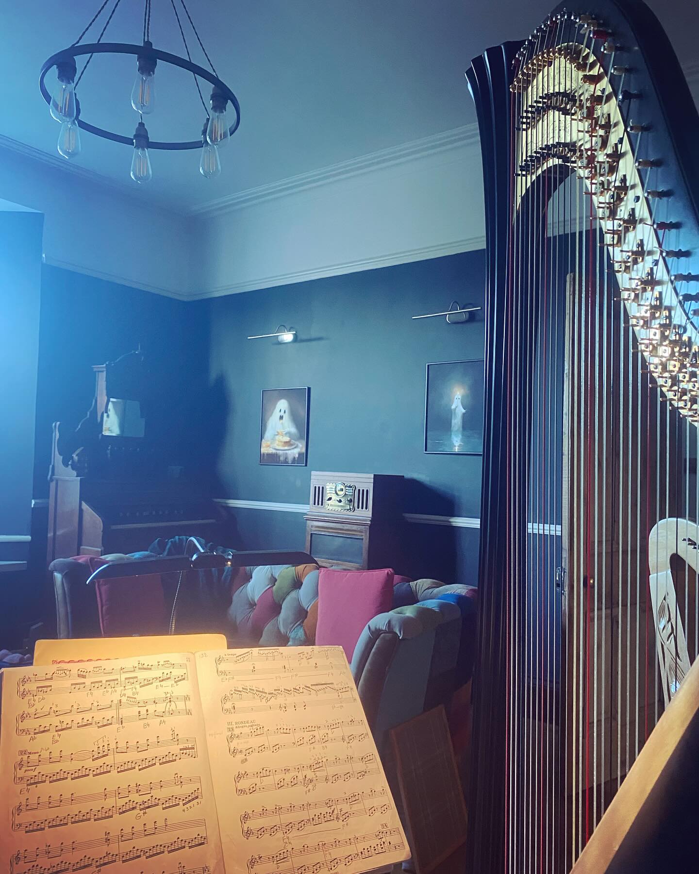 Some wholesome practice time can be a gentle mood lifter. I also love my #viewfromtheharp.
#practicespace #harpist #musictherapist #ambience #gothic #aesthetic #ghosts #musiciansofinstagram #harpistofinstagram