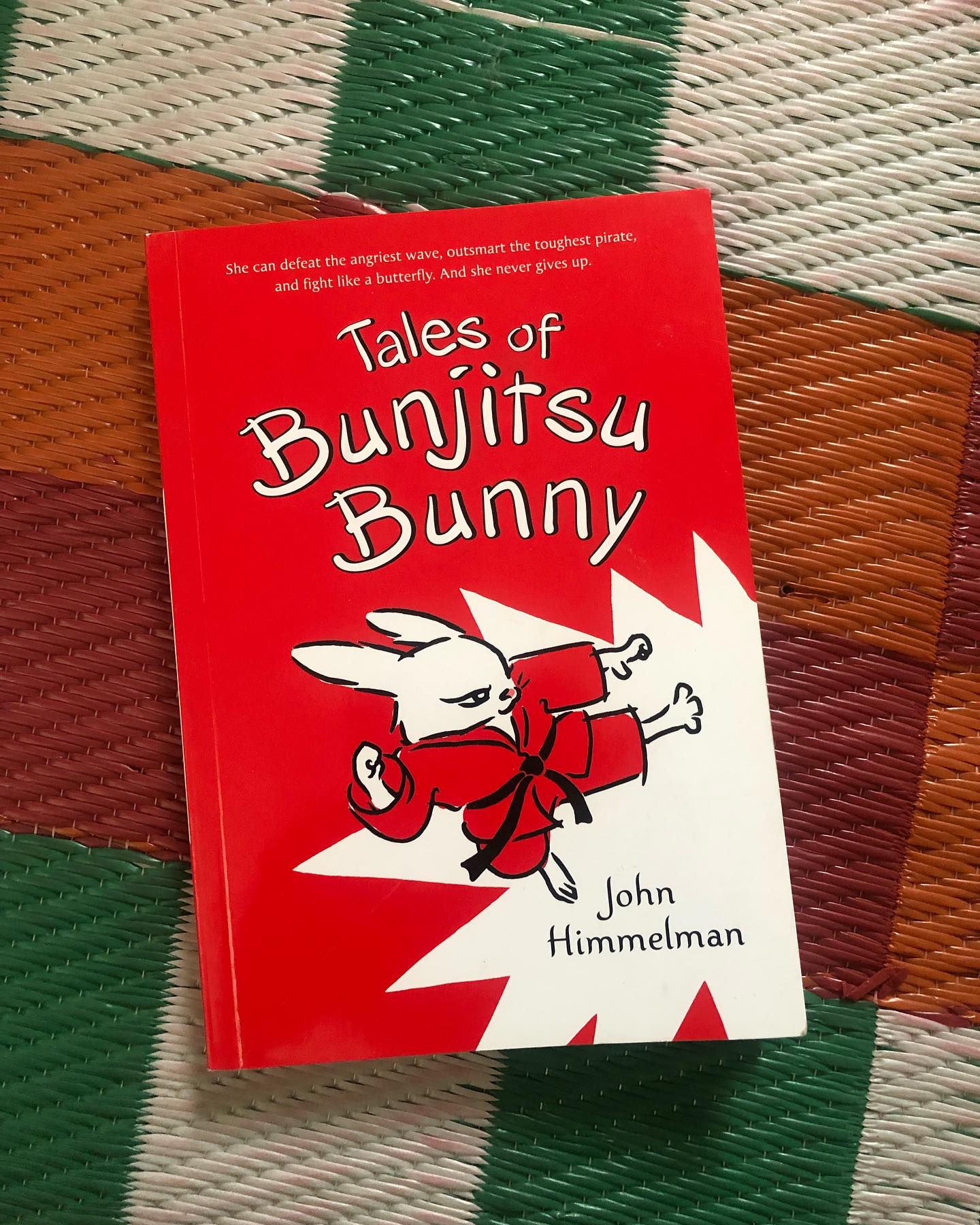 Tales of Bunjitsu Bunny
By John Himmelman
If there’s one fictional character I’d love to emulate, it would be Isabel. Her quiet strength, unwavering determination, and- most impressively- her presence of mind and empathy are truly remarkable. And let’s not forget, she is the best Bunjitsu Bunny in the world and could easily kick one out of the park (not that she necessarily would).
This is a wonderful read for young readers, filled with small life lessons that never come across as preachy or out of reach. Each story is presented in a way that feels relatable and grounded. It’s a great pick for early readers, though younger children will also enjoy exploring the stories with an adult to help unpack the messages.
Read it for the Zen, for conflict resolution, self-awareness, and clever problem-solving. It’s impressive how much wisdom is tucked into such a slim book- there’s truly nothing not to love. We’ve read two others in the series, and they’re just as delightful. My personal favourite? The hide-and-seek story!
The illustrations are simple line sketches with a pop of color, very effective, very Zen!
Ideal for ages 6+, but I’d definitely recommend reading it together and having lots of conversations along the way.