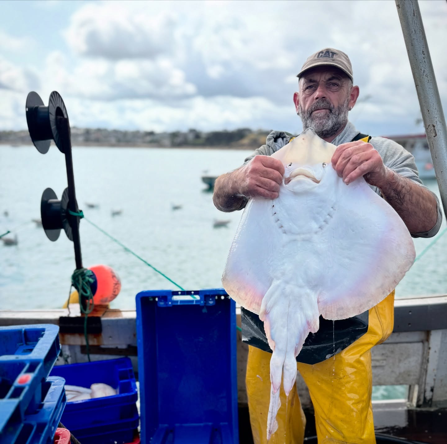Bonjour à tous ☀️
Rendez vous demain matin de 10h à 12h à la petite boutique
📍16 rue ar men à Erquy
👉🏻Poissons
👉🏻Maquereaux de Ligne🎣
👉🏻Araignées de mer Grosses
Bonne fin de journée
A demain 😎
Infos et réservations par sms au
☎️ 06 59 81 72 43
#providence #araigneesdemer #araignees #poisson #fish #local #ultrafrais #coquillessaintjacques #coquillesaintjacquesdelabaiedesaintbrieuc #coquillesstjacques
#venteendirectdupecheur #femmemarinpecheur #womenofthesea #womenfishing
#erquy #erquytourisme #bretagne #capderquyvalandré
#bretagnetourisme #mydinancapfrehel #bretagneforever #pourdebon #expedition #24h