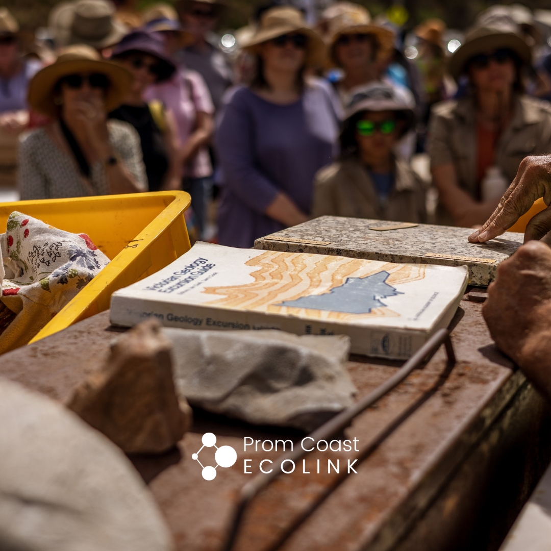 🌿 June Newsletter
If you are a subscriber, you would have received a juicy newsletter from us this morning.
It's full of all the things we have been up to this year and also includes first notice of the very exciting events we have planned for the remainder of 2025!
We hope you find a quiet moment this long weekend to sit down with a cuppa and read about nature in South Gippsland.
Head to the 🔗 link in bio to subscribe — we only send out two newsletters a year. It's a great way to bypass the algorithms and ensure you stay in the loop.
Happy reading!
📷 @karli_michelle_commercial