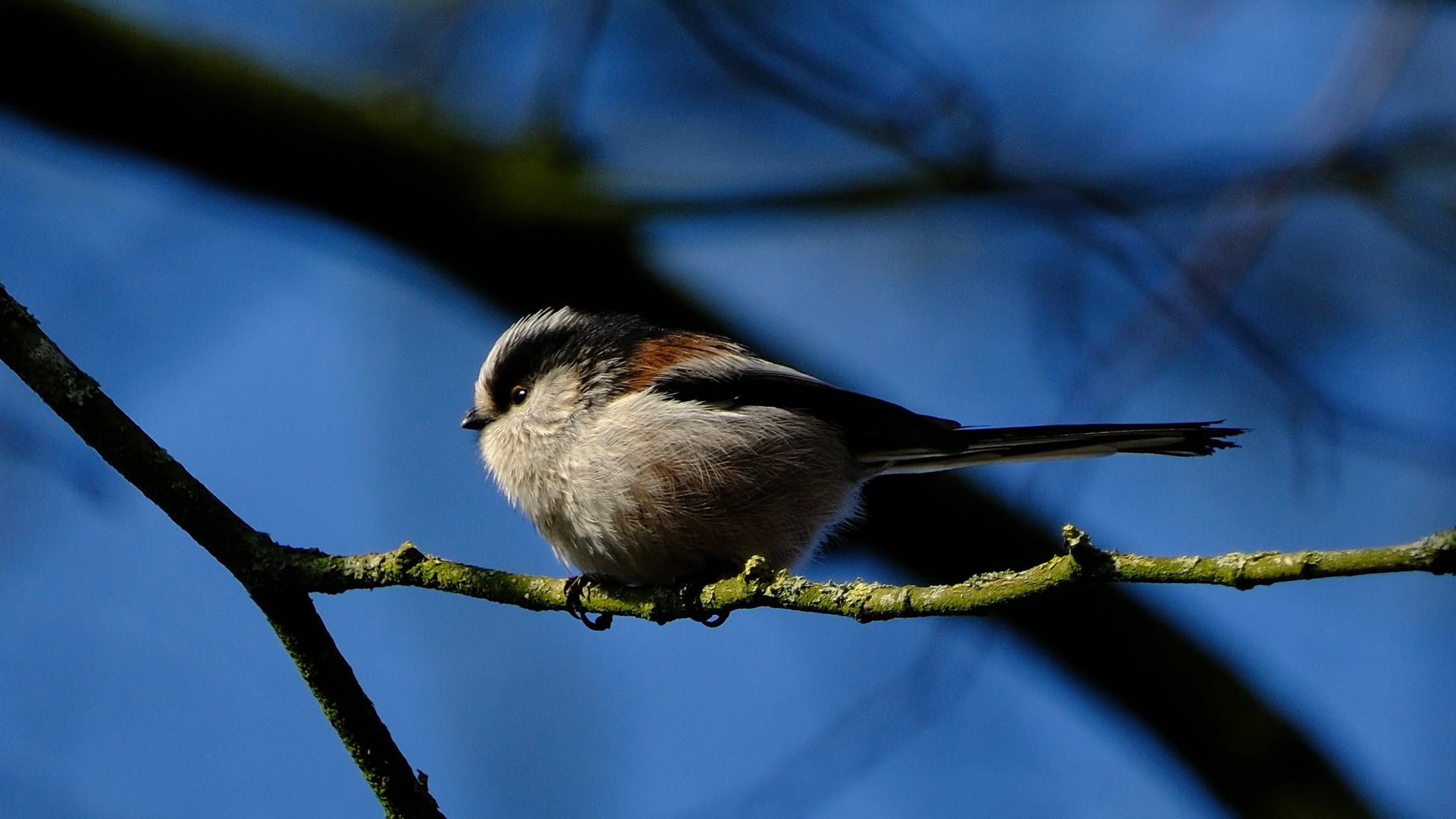 There is almost a sensual longing for communion with others who have a large vision. The immense fulfillment of the friendship between those engaged in furthering the evolution of consciousness has a quality impossible to describe.” - Pierre Teilhard de Chardin