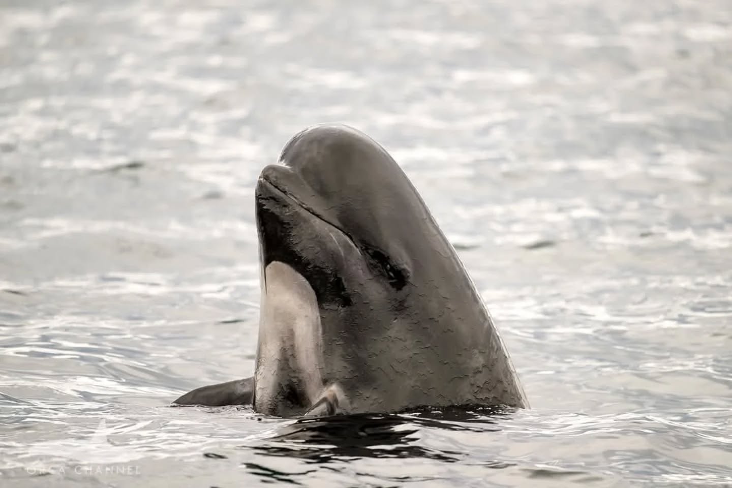 📷 Krisztina Balotay @krisztinabalotay