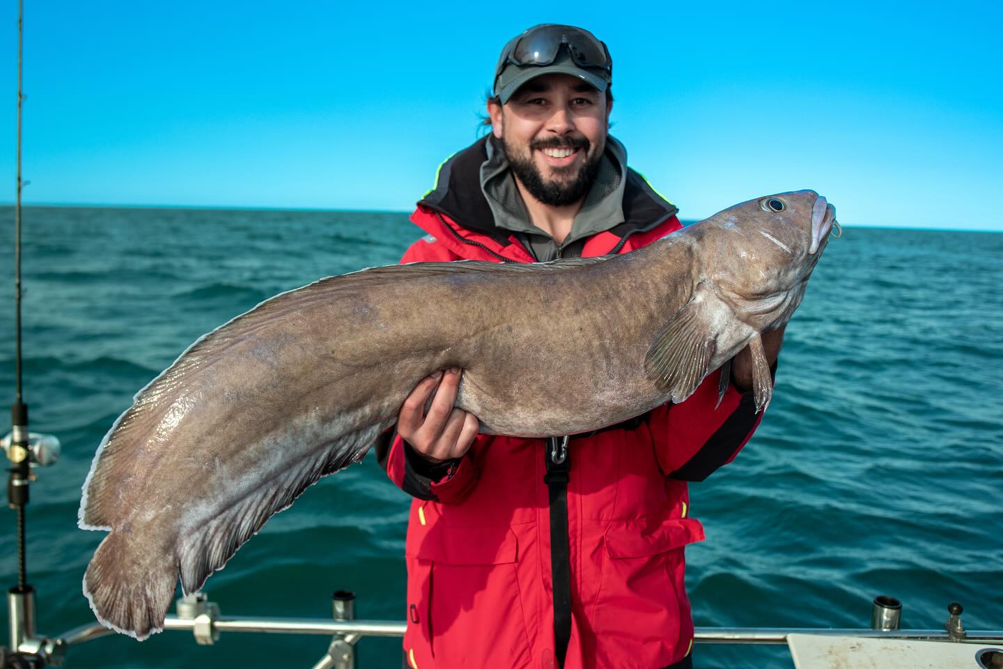 Mr. Fredrik @tronhuus with a very nice cusk during deep sea fishing in Skagerrak this weekend. 102cm and 11.8 kilos was a new PB for him! 😎💪🏻
.
.
.
#deepseafishing #saltwaterfishing #havfiske #havfiskern2025 #humminbird #minnkota #comstedtfishing #cusk #brosme #offshorefishing