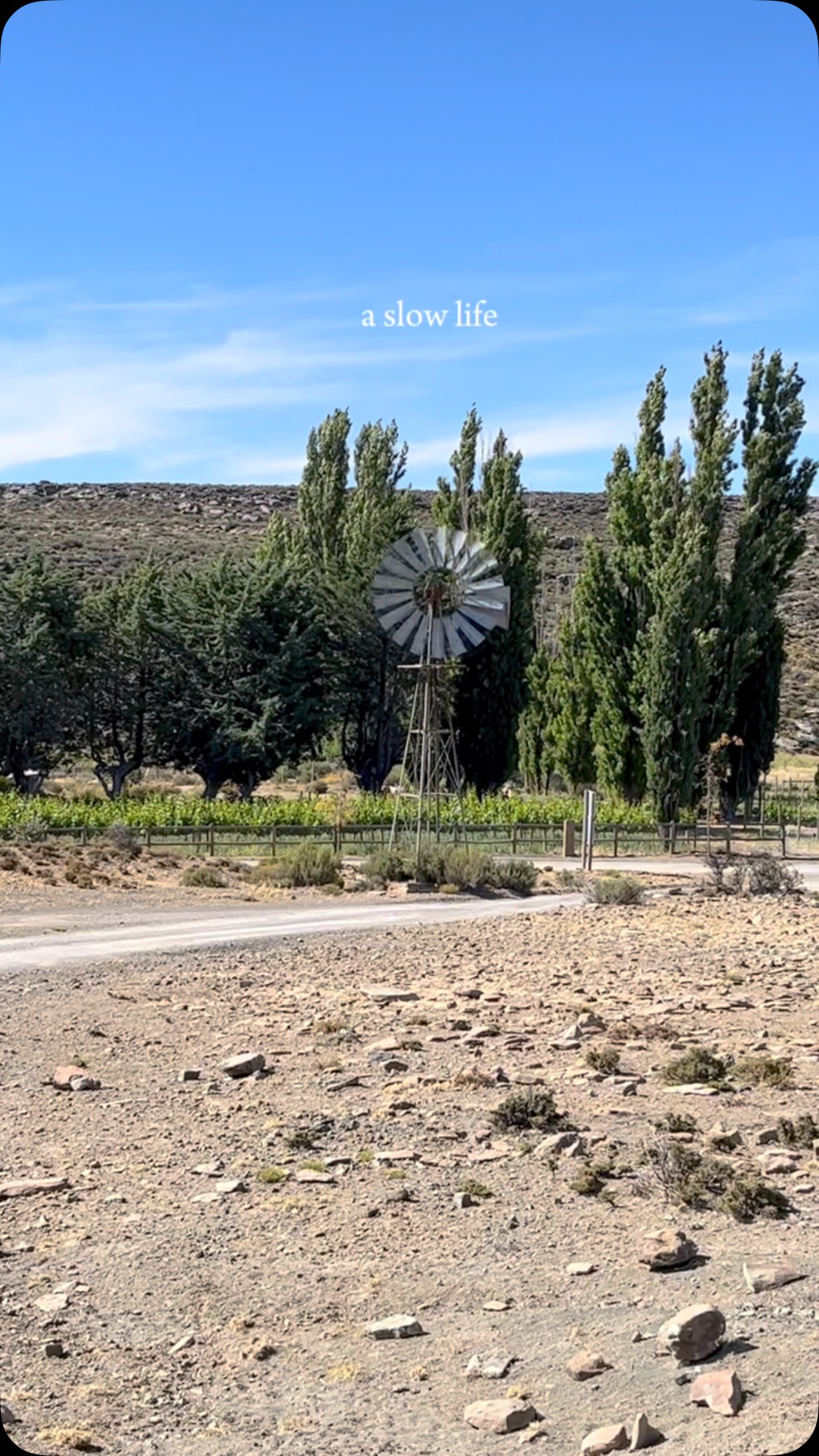 A few seconds of calm for your feed.
There's a kind of calm out here that you don't notice at first, until you realise your shoulders have dropped and your breath's a little deeper.
#luxuryecotravel #darkskyreserve #travelsouthafrica #karoo #karoolife #karooaccommodation #hikingadventures #hikingsouthafrica #cheetahconservation #cheetah #sustainabletravel #stargazing #astrophotography #sutherland #astronomylover #wideopenspaces #natureescape #nightphotography #nightsky #astronomy #thisissouthafrica