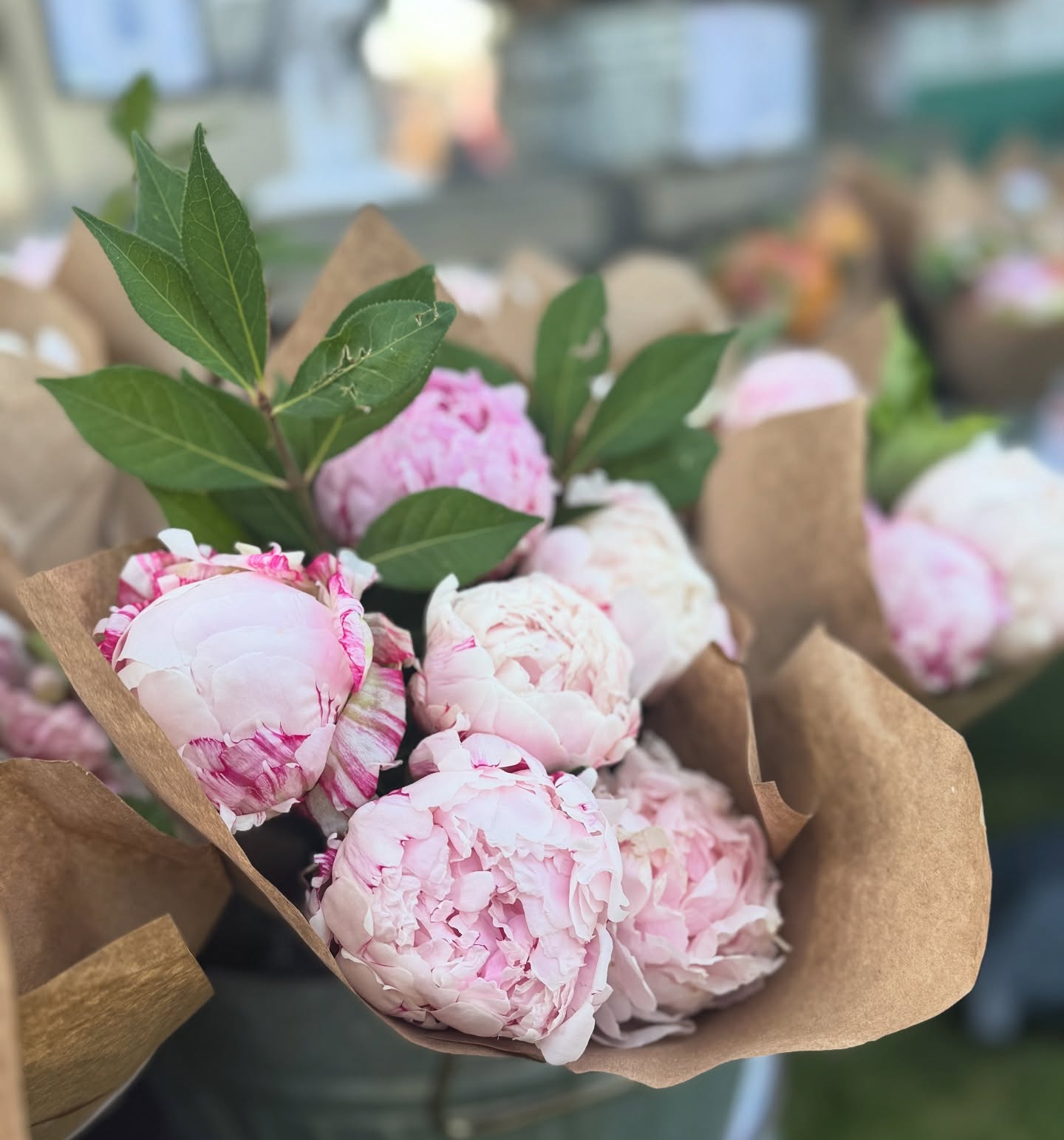 It’s another beautiful day at the @provofarmersmarket - we have peonies, ranunculus and dahlias today! You won’t want to miss it!
#makeutahbloom #utahgrown #provofarmersmarket #utahflowerfarm