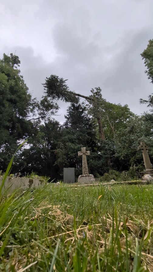 @m1waymason cutting this lanky Cypress down to size after failure of a neighbouring tree and half of the Cypress itself had compromised the Church wall 🌲
#treeremoval #andovertreesurgeon #winchestertreesurgeon #hampshiretreesurgeon #treesurgery #wiltshiretreesurgeon #treecontracting #salisburytreesurgeon #berkshiretreesurgeon #basingstoketreesurgeon