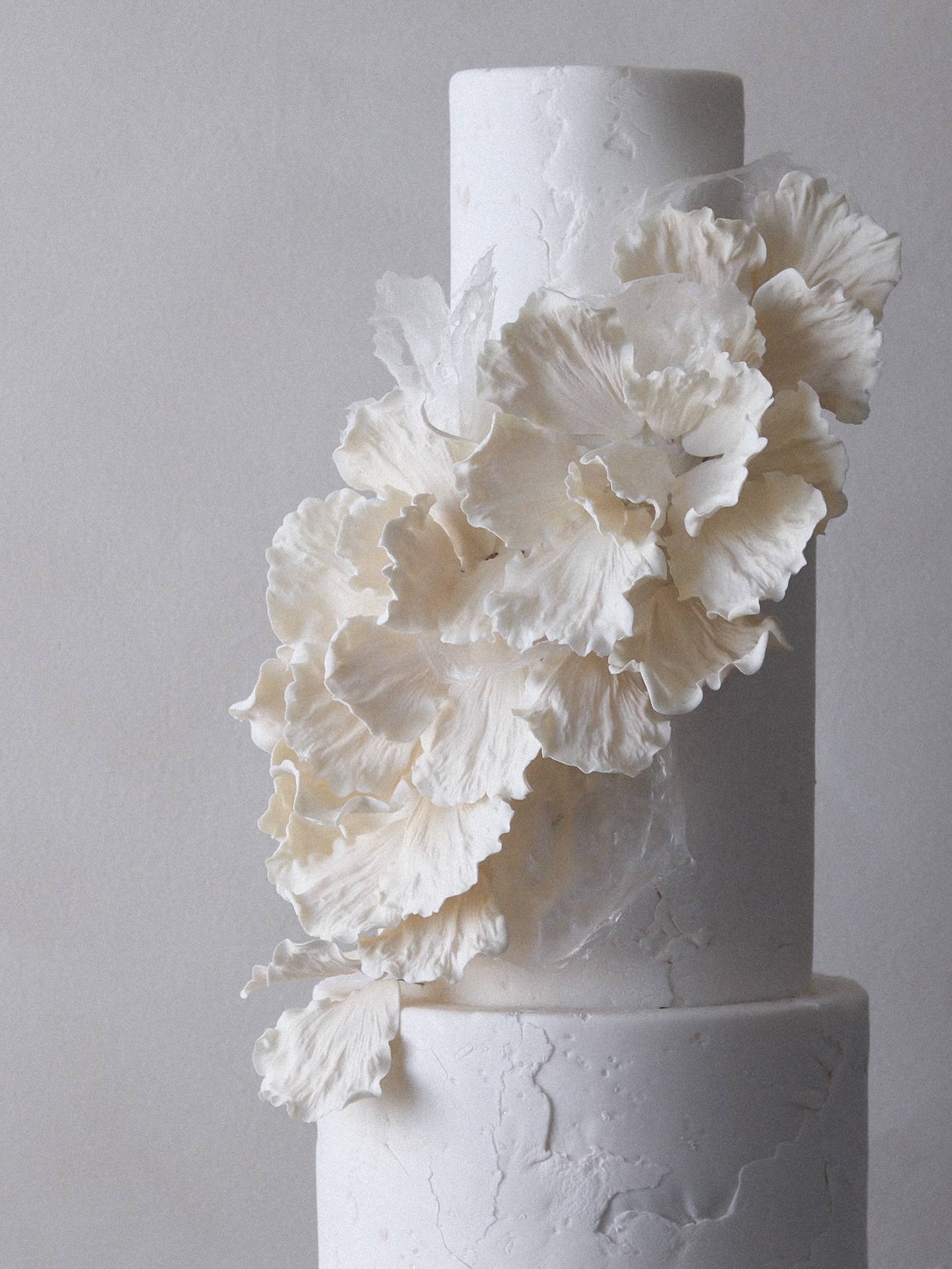 Creamos bizcochos personalizados para parejas que buscan algo más que un diseño bonito:
✨ Un sabor inolvidable y una pieza hecha con intención.
¿Tu boda se acerca?
Haz tu cotización desde la web:
📲 https://www.emilycoral.com/cake-quote