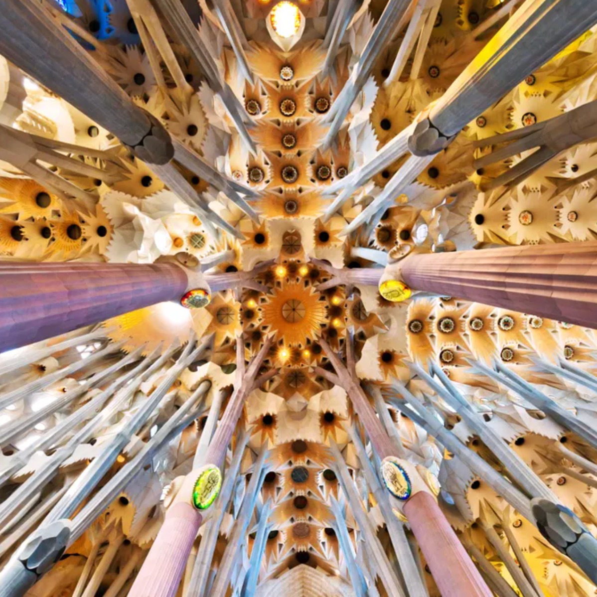 Bacelona, Spain. Antoni Gaudi's Sagrada Familia, inside. A beautiful masterpiece worth seeing while in Barcelona. My clients spent 4 nights in Barcelona and had a wonderful private tour of the building and it's rich history. #monterratravel #virtuosotravel #barcelonatravel #barcelona #spain🇪🇸 #boisetravelagent #sagradafamília #gaudi