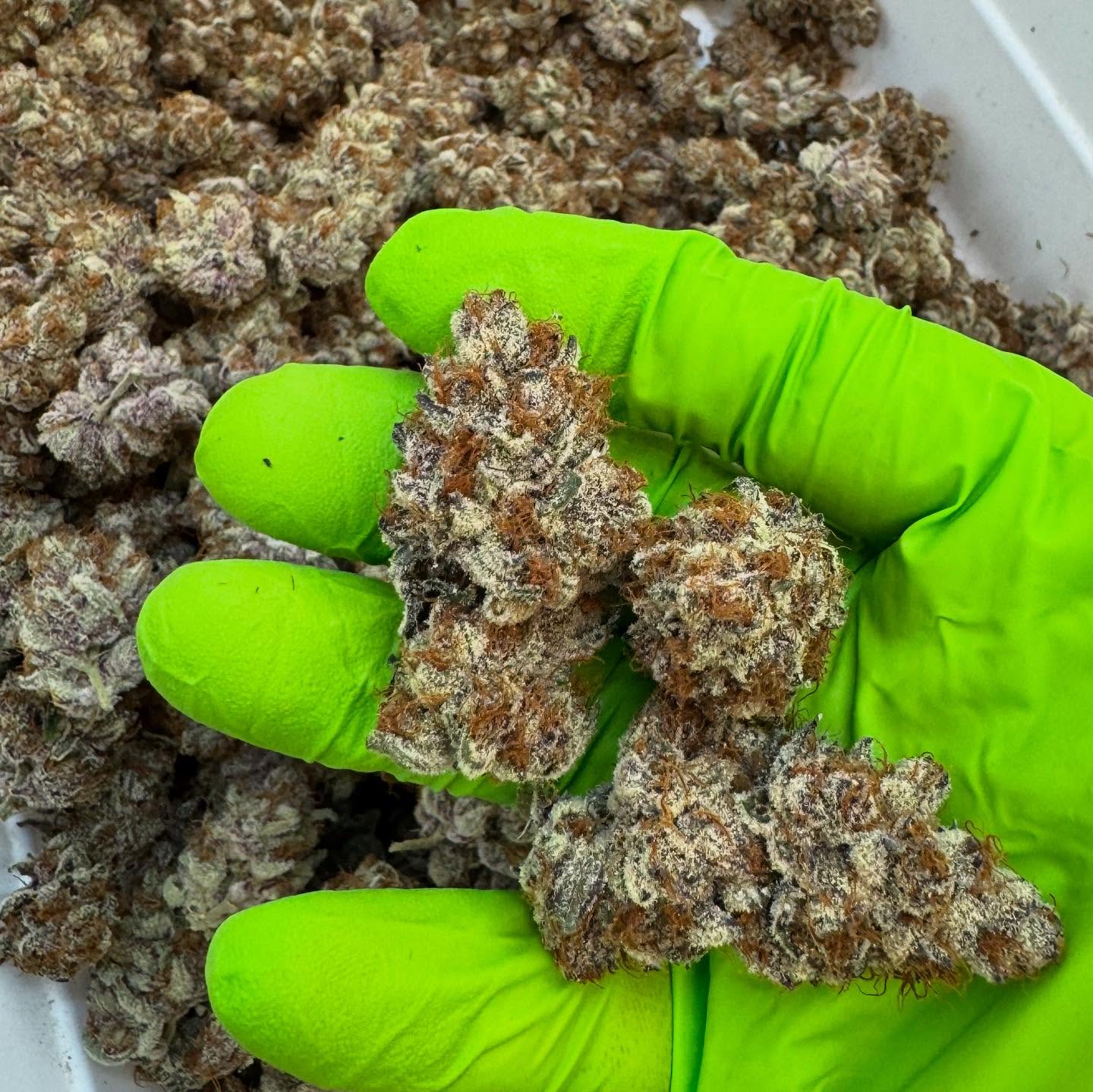 Now offering prepacked orders in clear jars. What you see is what you get. No BS, it’s All Good.
Lipstick Teeth (Superbuff Cherry #4) and Heemeyer’s Vacation (Trop Cherry x ICC) pictured.