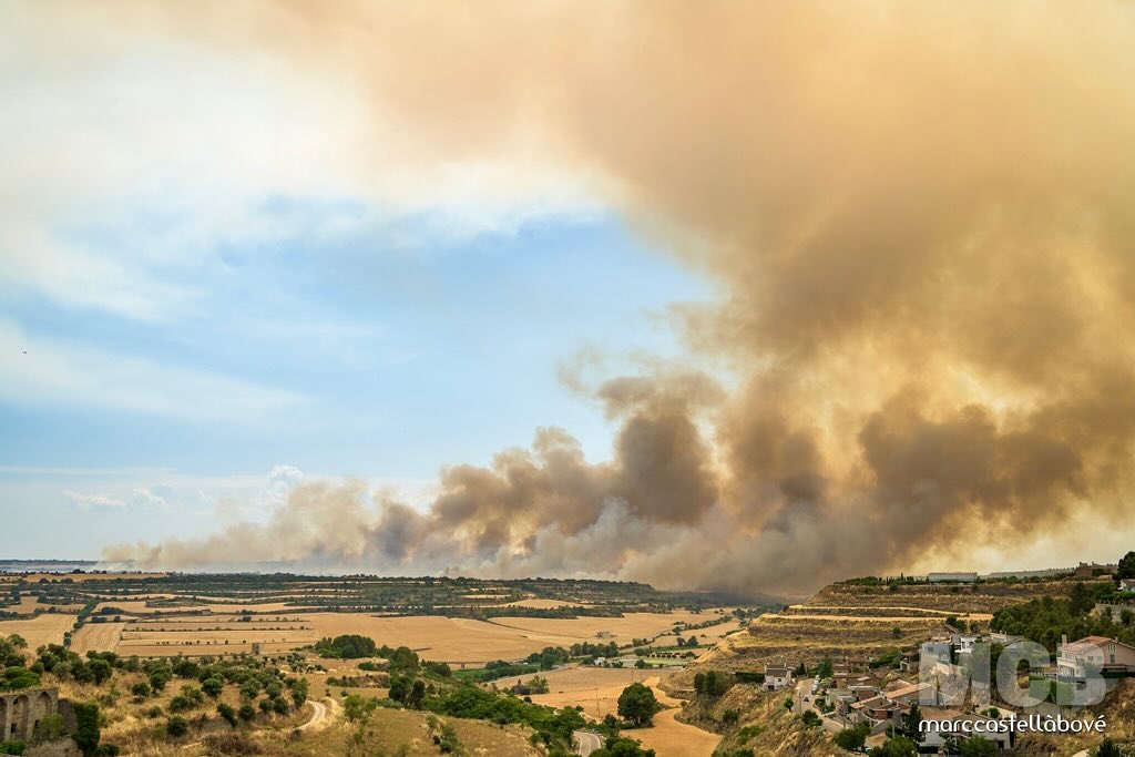 🚒 Gràcies, #bombers, per la vostra lluita incansable.
📸📍 Cervera. 16.13 h.
…
#Segarra #Cervera #Granyena #Granyanella #Fonolleres #Curullada #incendi #foc #protecciocivil #emergencies #ifgranyenadesegarra
…
@paeria.cervera @ccsegarra @ajuntament_granyena @ajuntament_granyanella @castelldefonolleres @bomberscatalunya @bombers_gc @emergenciescat @324cat @eltempstv3 @tomasmolinab @monicausart @turisme.ccsegarra