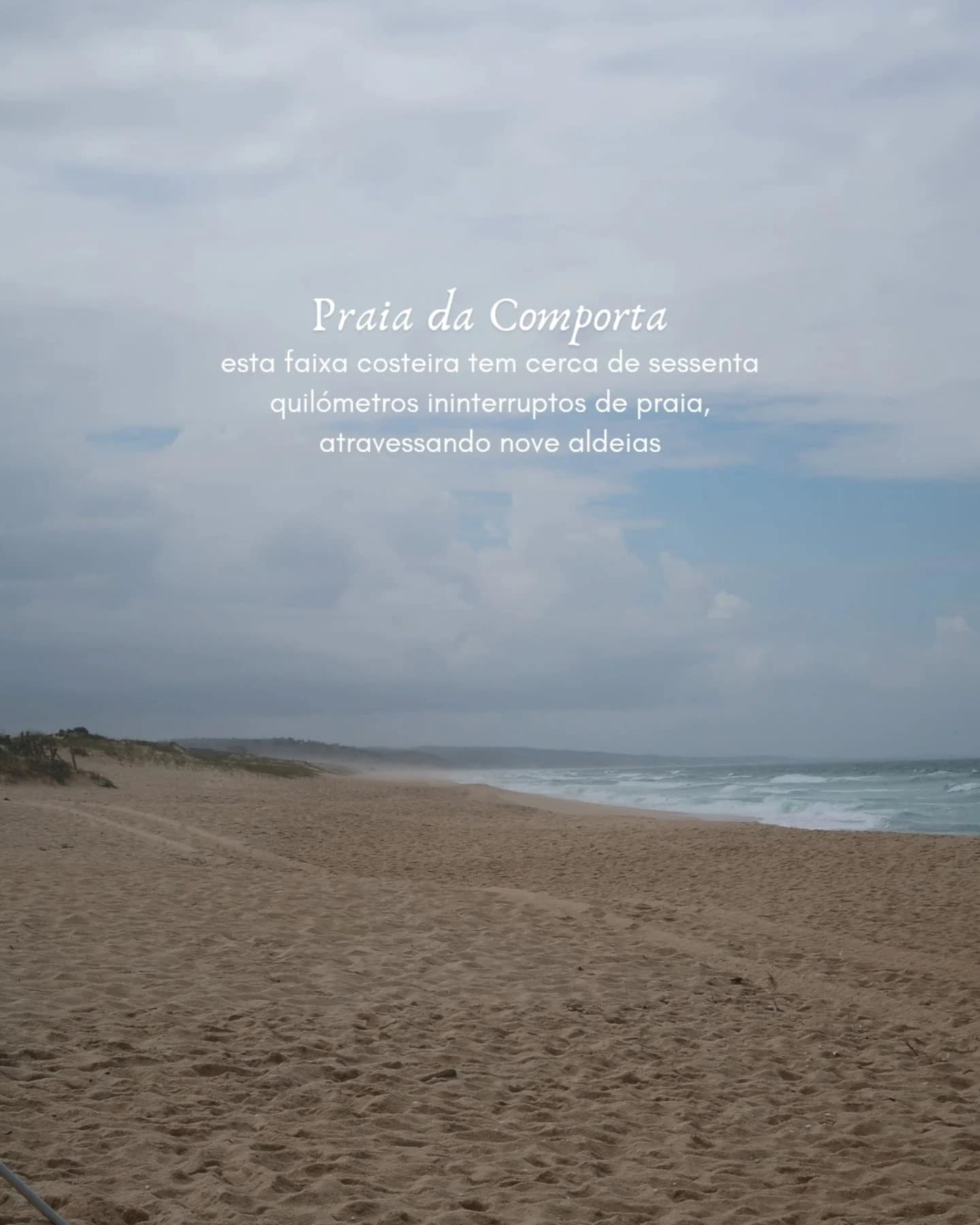 No dia seguinte, fomos até à praia do Carvalhal.
Caminhando pelo paredão de madeira, cruzámos as dunas e embatemos de frente com o oceano, tão indomável e azul como só o Atlântico consegue ser. As ondas, compassadas e enormes, invadiam a praia.
Durante a tarde, visitámos a aldeia da Comporta. As casas baixas, caiadas de branco, com portas e janelas em azul-turquesa, compõem a paisagem típica de uma aldeia alentejana.
Com a popularidade que foi ganhando nos últimos anos, começaram a surgir resorts, hotéis e beach clubs. Ainda assim, a Comporta conseguiu manter a sua essência e uma identidade muito própria.
Esta identidade está presente no estilo boho-chic que aqui ganha forma, feitio e expressão.
Leiam todas as recomendações no blog.
#DiáriodeBordo #travelpost #travelblog #Comporta #Portugal #newblogpost #travelguide #bohochic