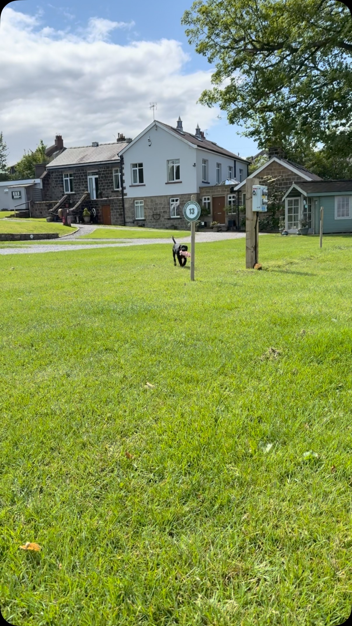 Oscar has safety checked the grass and hopes everyone had a fab weekend camping!🏕️
#camping #caravan #campsite #caravaning #otley #ilkley #menston #glampingpods #belltents #holidaycottagesuk