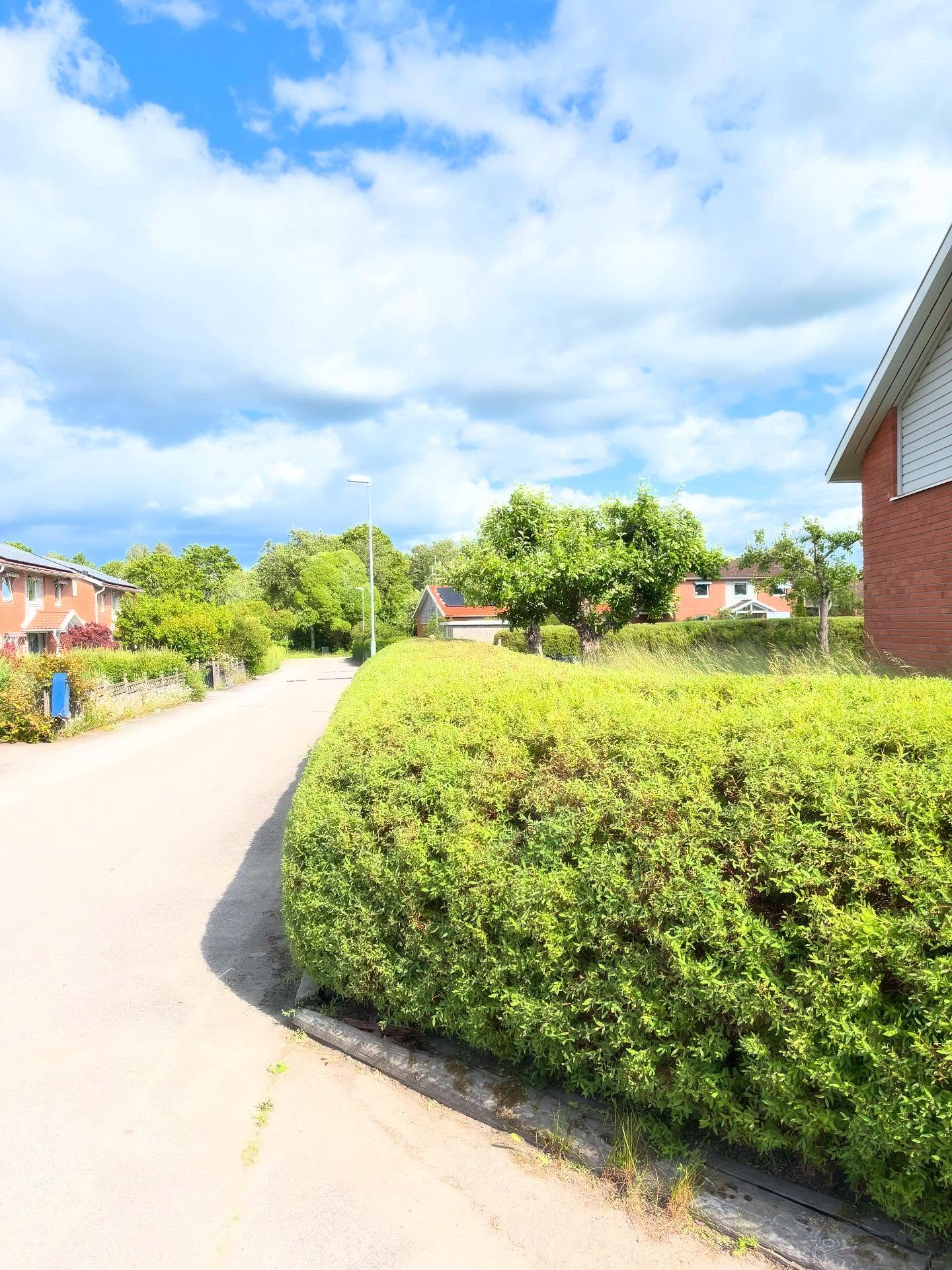 Sommaren är här och det märks – dags att njuta av en välskött trädgård! 🌳✨
Den här gången har vi hjälpt en kund att få ordning på en häck som behövde formas och snyggas till. Resultatet? En välklippt häck som lyfter hela intrycket av tomten!
Vi fixar bland annat:
🔶 Häckklippning
🔶 Trädbeskärning
🔶 Ogräsrensning
🔶 Gräsklippning
🔶 Lövrensning
🔶 …och mycket mer!
✅ Glöm inte att du kan använda ditt RUT-avdrag vid betalning!
Boka idag – vi gör jobbet enkelt för dig.
📍Linköping med omnejd