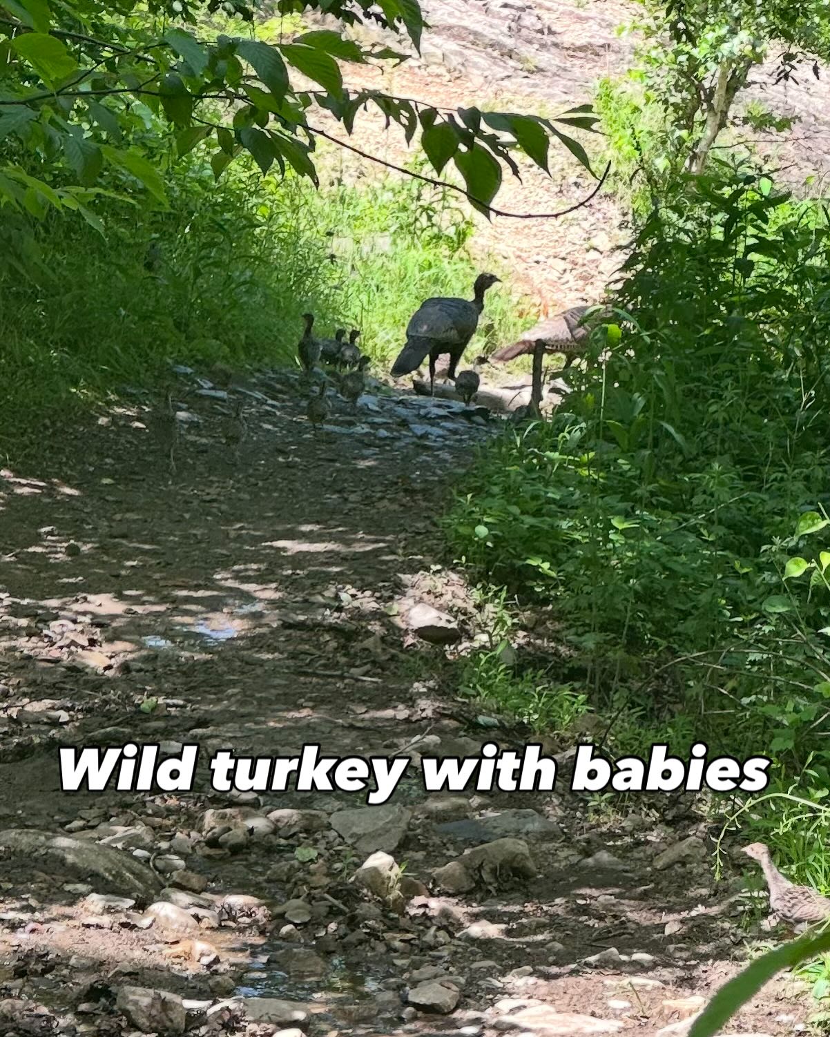 It turned to summer really fast! Hot and humid but a beautiful day to be out in nature 😌