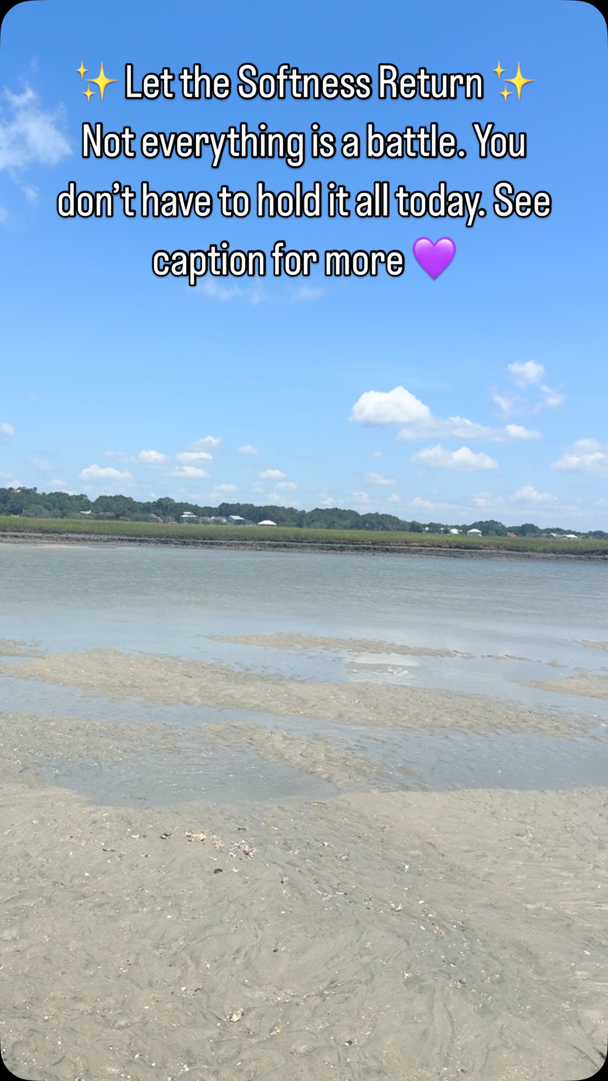 ✨ Monday Message from Niki Paige: Let the Softness Return
You’ve been in a season of bracing—
Holding your breath.
Waiting for the next hit.
Living with one foot always ready to run or rise.
This is what survival mode looks like.
Hypervigilance. High-functioning exhaustion.
And yes—it kept you safe.
But now?
It’s time to unclench.
There is a softness trying to return to you
The softness of breath
The softness of being seen
The softness of not needing to be the strong one today.
You may feel emotions rise.
This is not a sign you’re breaking down.
It’s a sign you’re safe enough to feel again.
1. Name what you’ve been holding.
Say it aloud or write:
“I’ve been holding…”
Let it tumble out. No judgment.
This is nervous system integration through storytelling.
2. Ask yourself:
“What would I do if I knew I was already supported?”
Let this question anchor you in possibility.
3. Let someone help you.
Yes—you. The steady one.
Let someone witness your tenderness.
Even if it’s just your breath. Or the version of you in the mirror.
You are not falling behind.
You are falling inward—
Into the arms of the you who is finally ready to rest.
Let her be enough today.
#LetTheSoftnessReturn #NervousSystemHealing #SomaticWisdom #SacredRest #HealingIsNotWeakness #EmotionalSafety #SelfCompassion #Unclench #MindfulLiving #NikiPaige #NikiPaigeWellness #MondayMessage #nervoussystemregulation