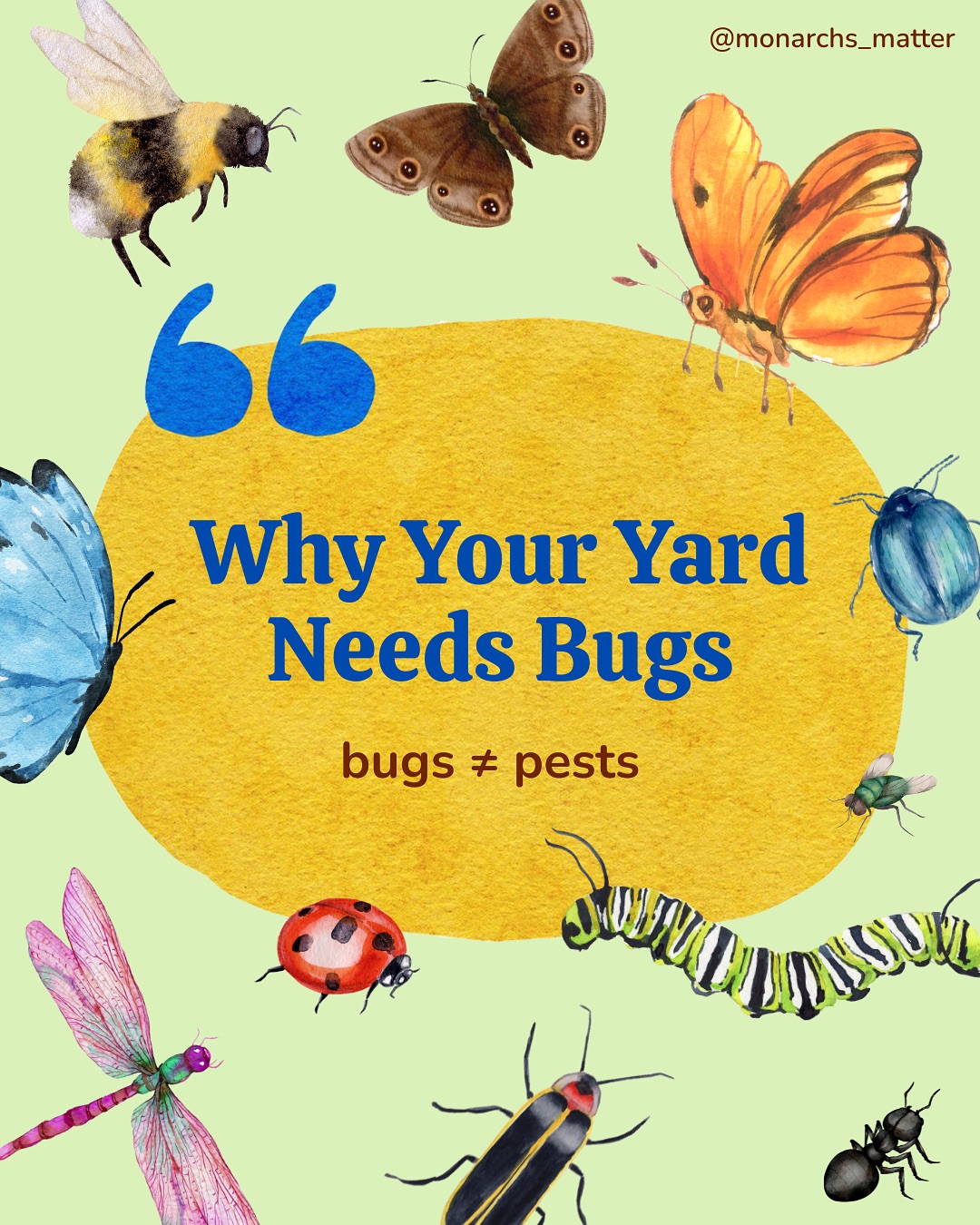 In honor of pollinator week, let’s dive into an issue that has been bugging (pun-intended) the environment lately… 🦋🐝🐛🐞🐜
Due to urbanization, insecticide use, and climate change, insect populations have declined an alarming 75% in the past 30 years, and they need us now more than ever. Starting from your yard, you can create a safer world for these vital critters.
#monarchsmatter #insects #bugs #biodiversityloss #sustainablelandscaping #rewild #yard #nativegarden #nativeplants #lawn #leavetheleaves #insecticide #climatechange #gardening #nativegarden #pollinators