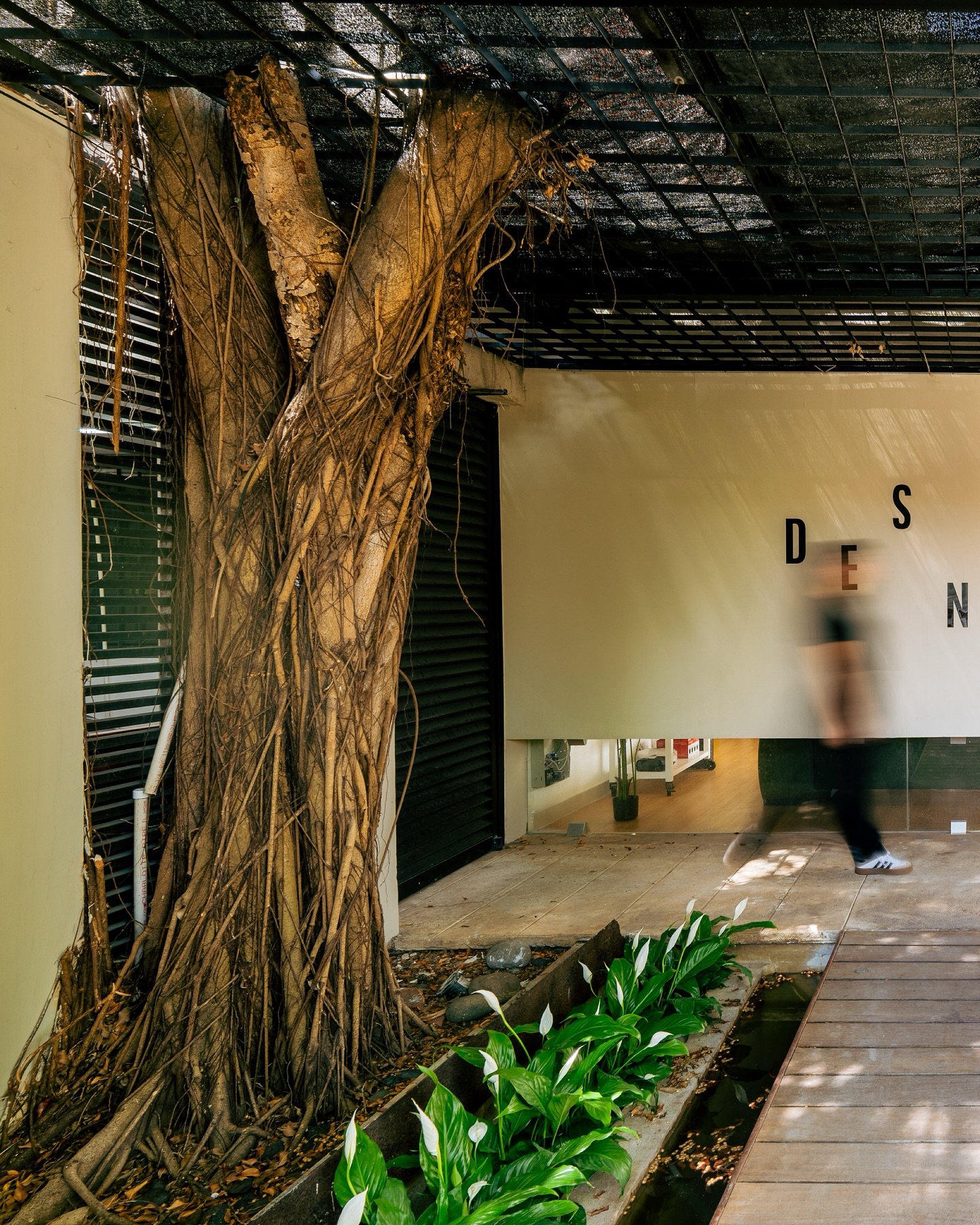 Somos un taller en constante evolución.
Este nuevo espacio tiene tanto carácter y alma como nosotros. Y así como lo transformamos respetando su esencia creemos que cada proyecto debe tener identidad y empatía.
En esta nueva etapa no solo reafirma que no sólo diseñamos espacios, sino que construimos confianza.
Bienvenidos a nuestra nueva casa.
#DesnivelArquitectos