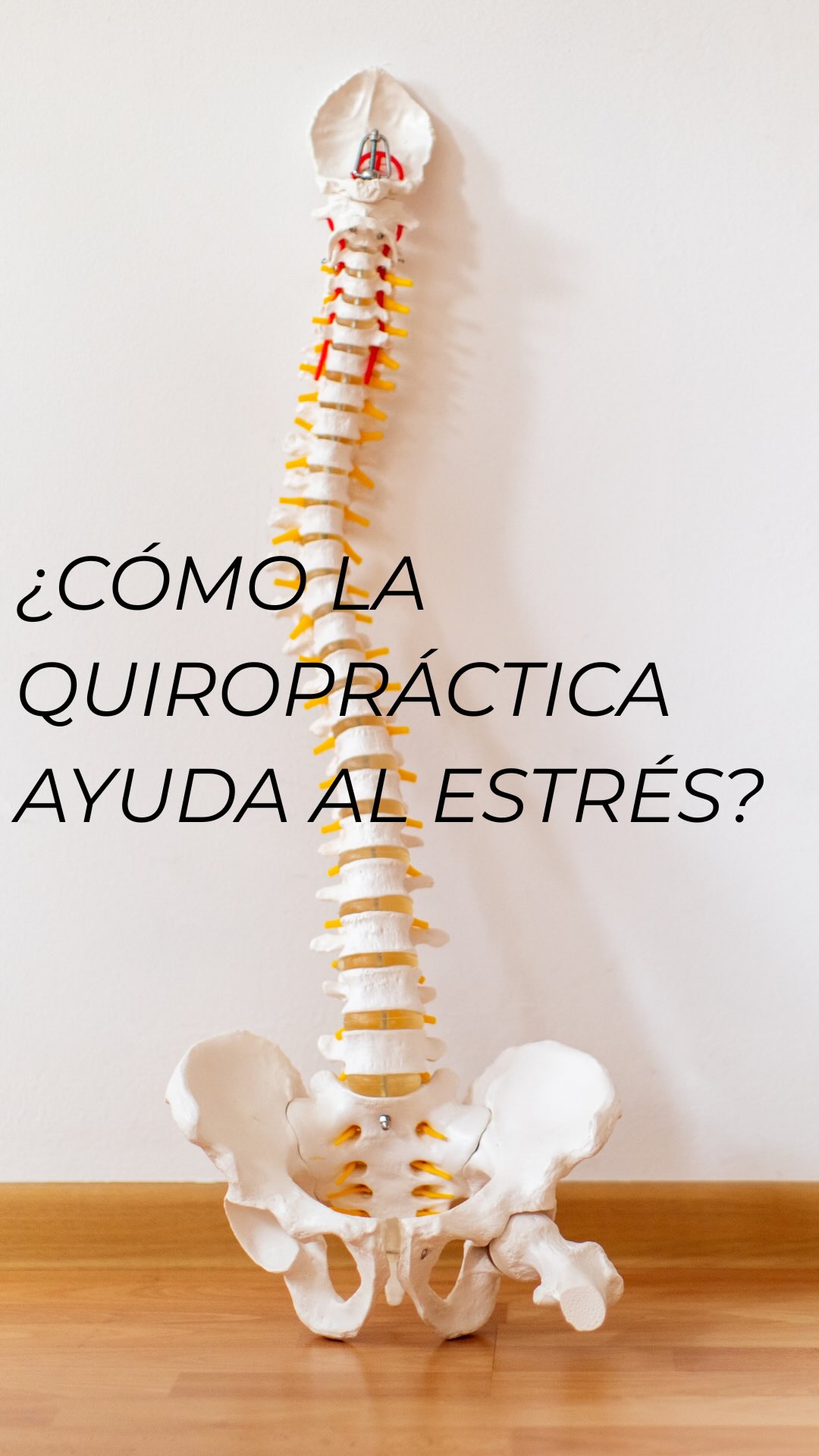 ¿Sabías que el estrés afecta directamente tu columna y tu sistema nervioso?
La atención quiropráctica no solo alinea tu espalda, también te ayuda a liberar tensión y recuperar tu bienestar.
Tu cuerpo lo necesita. 💆♂️
#Estrés #QuiroprácticoParaElEstrés #SaludNatural #SistemaNervioso #AlivioDelEstrés #CuidadosQuiroprácticos
