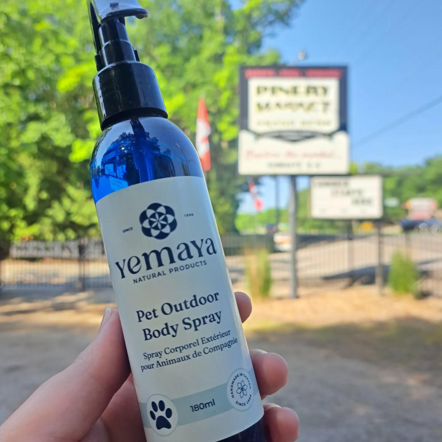 Summer vibes ✨️
Stop on by our booth from 9-4 today at the @pinerymarket to stock up on your 🌞 Sunkissed and Bug Spray 🦟 lots of fresh products ready for you! #Yemaya #yemayanaturalproducts #sunkissed #sun #sunscreen #bug #bugspray #natural #handmade #organic #handcraftedbyyemaya #market #pinery #grandbend #Sunday #summer #perfectday #sundayfunday #stockup #family #kids #adventures #rebrand #relaunch