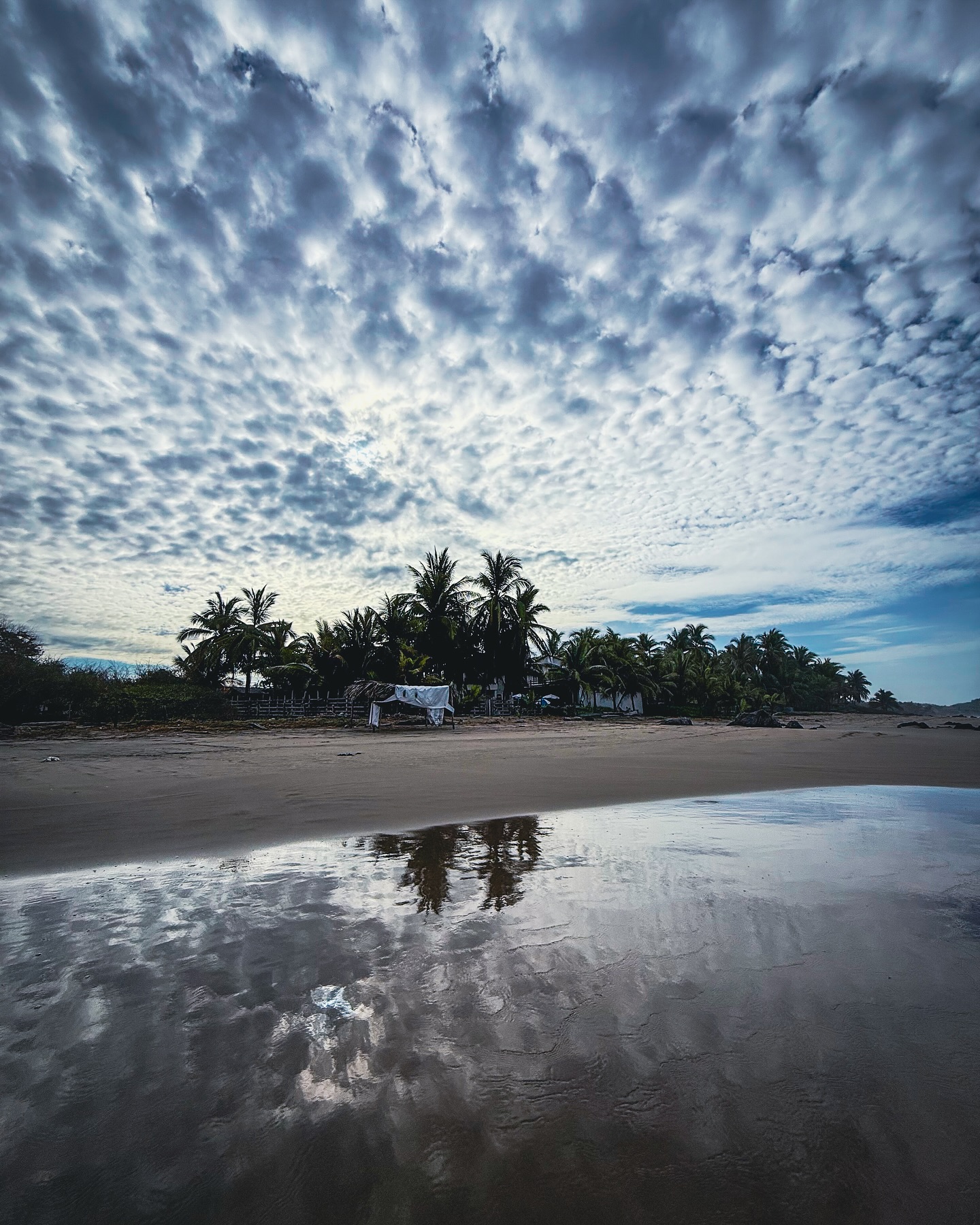 There’s something about the beach after a storm.
The clouds still hanging.
The air thick with energy.
Everything feels a little heavier and a little clearer at the same time.
Just me and the tide—no rush, no noise.
#AfterTheStorm #SaltyLuxeAdventures #TravelDiaries #StormyMornings #CoastalFeels #MoodyButClear #HealingInMotion #WanderWithSoul #ModernWanderer #IntentionalLiving #EdgeAndEase #SlowTravelMovement #NomadVibes #RealLifeMagic #CuratedEscape #CoastalMood #OceanTherapy #FoggyFeels #LifestyleExplorer #rawandradiant