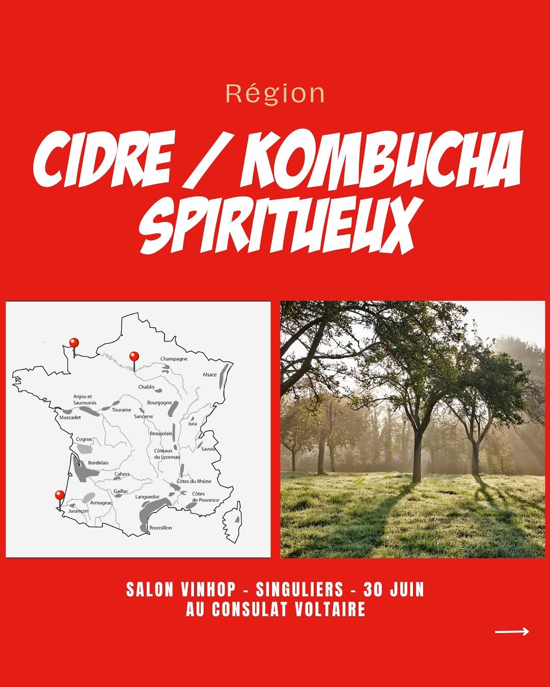 À la rencontre des producteurs de cidre, de kombucha et de gin.
@maisonherout
@ama_brewery_basque
@distilleriedelarbresec
Venez les découvrir lors de notre salon SINGULIERS, où plus de 90 producteurs seront présents.
📍Le Consulat Paris 11ème
📆 30 juin 2025
‼️Réservé aux professionnels - lien d’inscription en bio