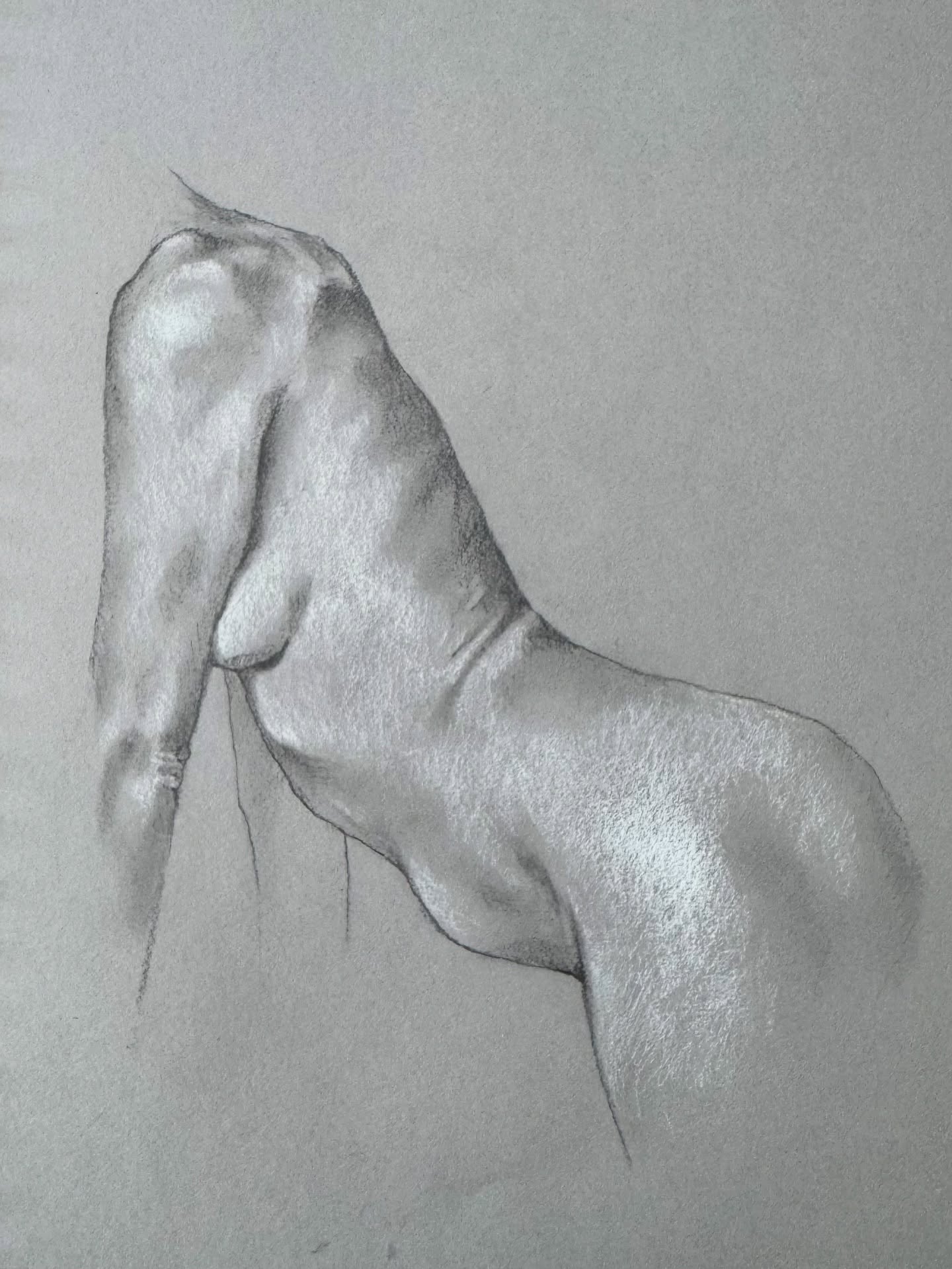 Just a small sketch from a while ago! Working on getting back to posting daily sketches in between my larger projects on canvas.
Graphite and white charcoal on toned paper.