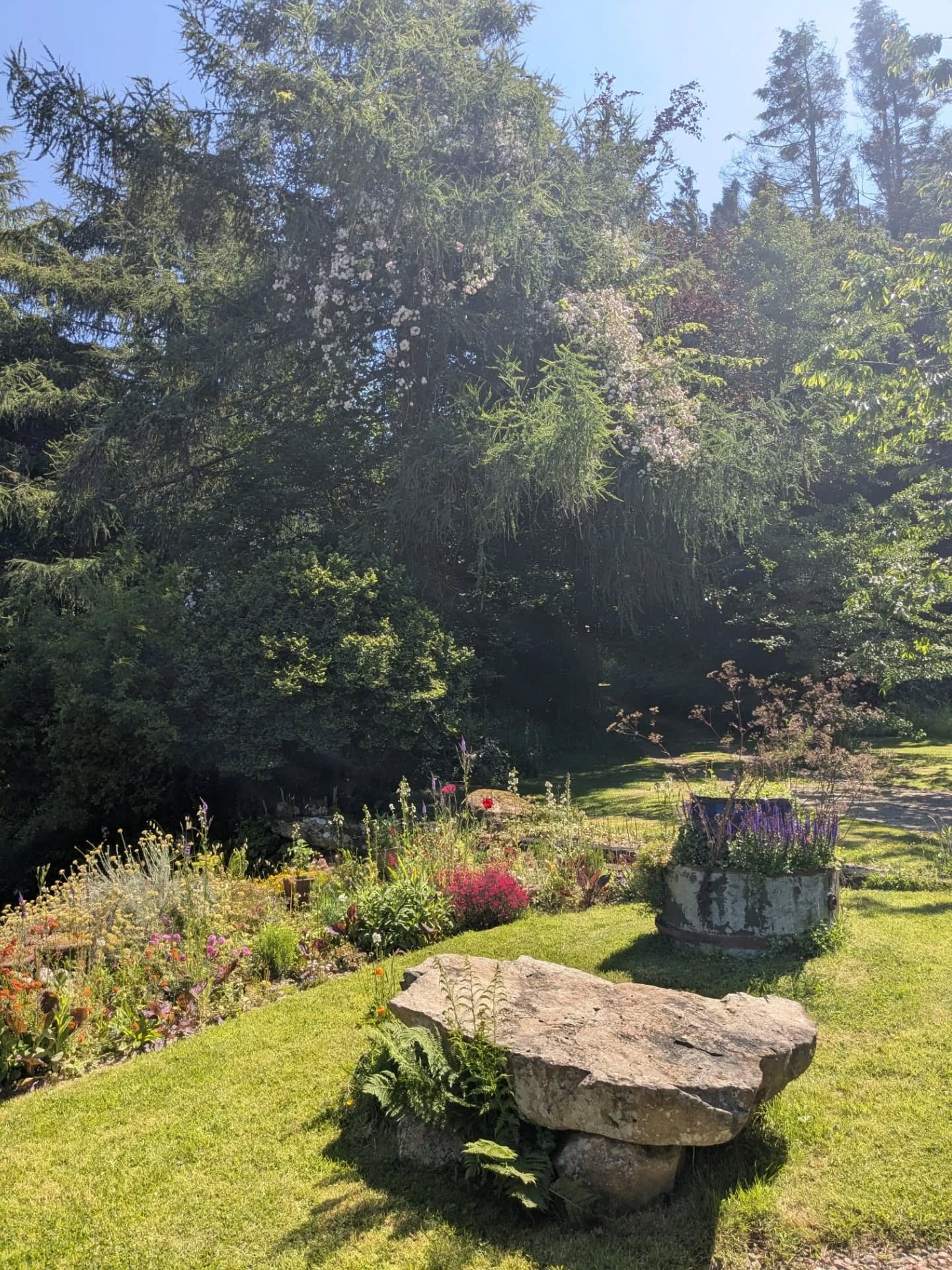 Come and escape this crazy world.
#cabininthewoods
#justbe