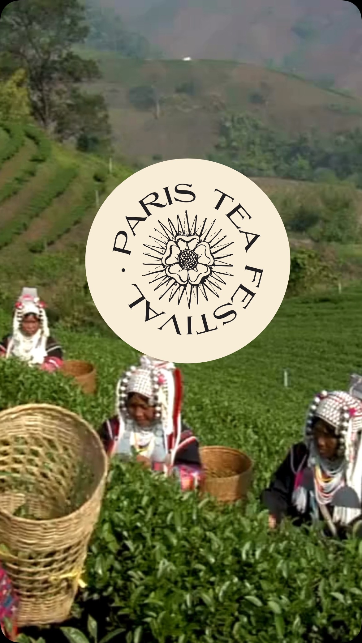 🏆 Valoriser le thé d’exception : le rôle des labels et concours
À l’heure où le marché du thé évolue rapidement, comment garantir qualité, origine et reconnaissance aux thés d’exception ?
Les labels (IGP, commerce équitable, etc.) et concours internationaux jouent un rôle croissant dans la valorisation des producteurs, la transparence pour les consommateurs, et l’éducation du goût.
Lors de cette table ronde, quatre experts engagés croiseront leurs regards et leurs expériences :
🌿 Philippe Juglar – Président de l’AVPA, qui organise des concours de dégustation à l’échelle internationale pour valoriser la qualité gustative des produits.
🍃 Olivier Scala – Président du STEPI, acteur clé de la structuration du secteur du thé et des plantes en France.
🌱 Yun Zhang – Représentante de Commerce Équitable France, pour aborder la juste rémunération et les engagements sociaux dans la chaîne du thé.
📚 Lydia Gautier – Autrice et spécialiste du thé, qui partagera son travail d’accompagnement auprès des producteurs sri-lankais pour l’obtention d’une IGP.
Une discussion passionnante sur les enjeux de reconnaissance, de traçabilité et de souveraineté des terroirs dans le monde du thé.
À ne pas manquer !
📍 Dimanche 15 juin | 13h30
🏛 Maison Internationale, Paris
🎟 sur inscription Accès libre avec votre billet pour le festival
En Français
#paristeafestival #commerceequitable #avpa #igp #stepi #ptfouiouioui🔥