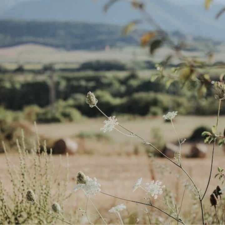 From fresh air and sweeping views to local cafés and charming community gems — life in Hilton is all about slowing down and soaking it in. At The Avenues Estate, you’re right at the heart of it all.
#HiltonLifestyle #TheAvenuesEstate #NatureAndNurture #EstateLiving #MidlandsMoments