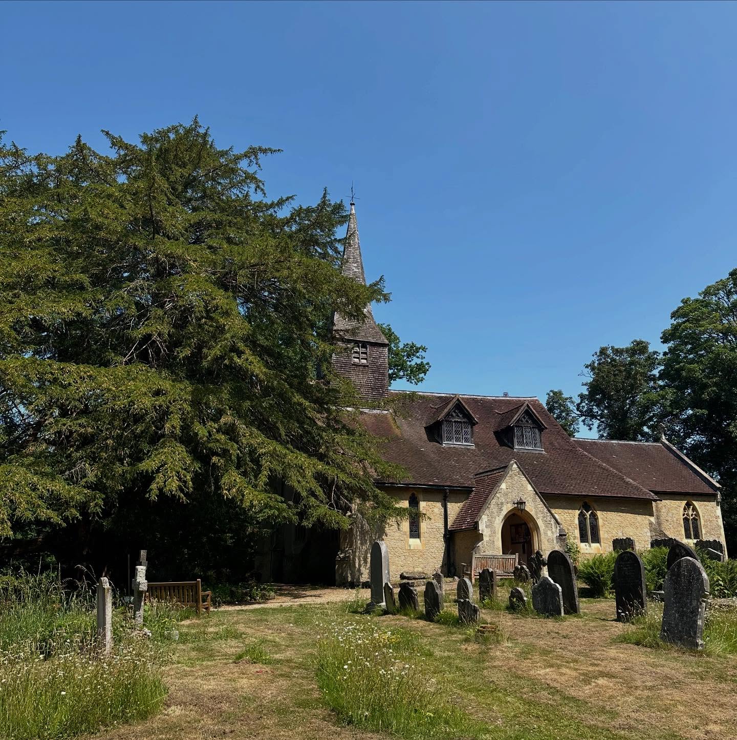 On site today and discovered ‘The Tandridge Yew’ – 2,500 Years old…
This huge yew tree is ancient, wild, and full of secrets. Back in 1850, it was called “a decayed wreck.” But yews don’t give up that easily. It bounced back—and now has a 35ft girth and multiple towering trunks.
When Saxon builders laid the foundations of the church over 1,000 years ago, they actually built a stone vault around the yew’s roots—proof that the tree was already massive back then. That root had to be bridged, not moved.
Botanists were sceptical… until they saw the evidence. Now some believe this tree could be 2,500+ years old, possibly part of a pre-Christian sacred site.
So next time you’re near Tandridge, go meet a true survivor—a tree that’s older than the church, the village, and maybe even the country!
#church #architect #yewtree #history #saxon #botanist #conservation #oldbuiding #oldtree
