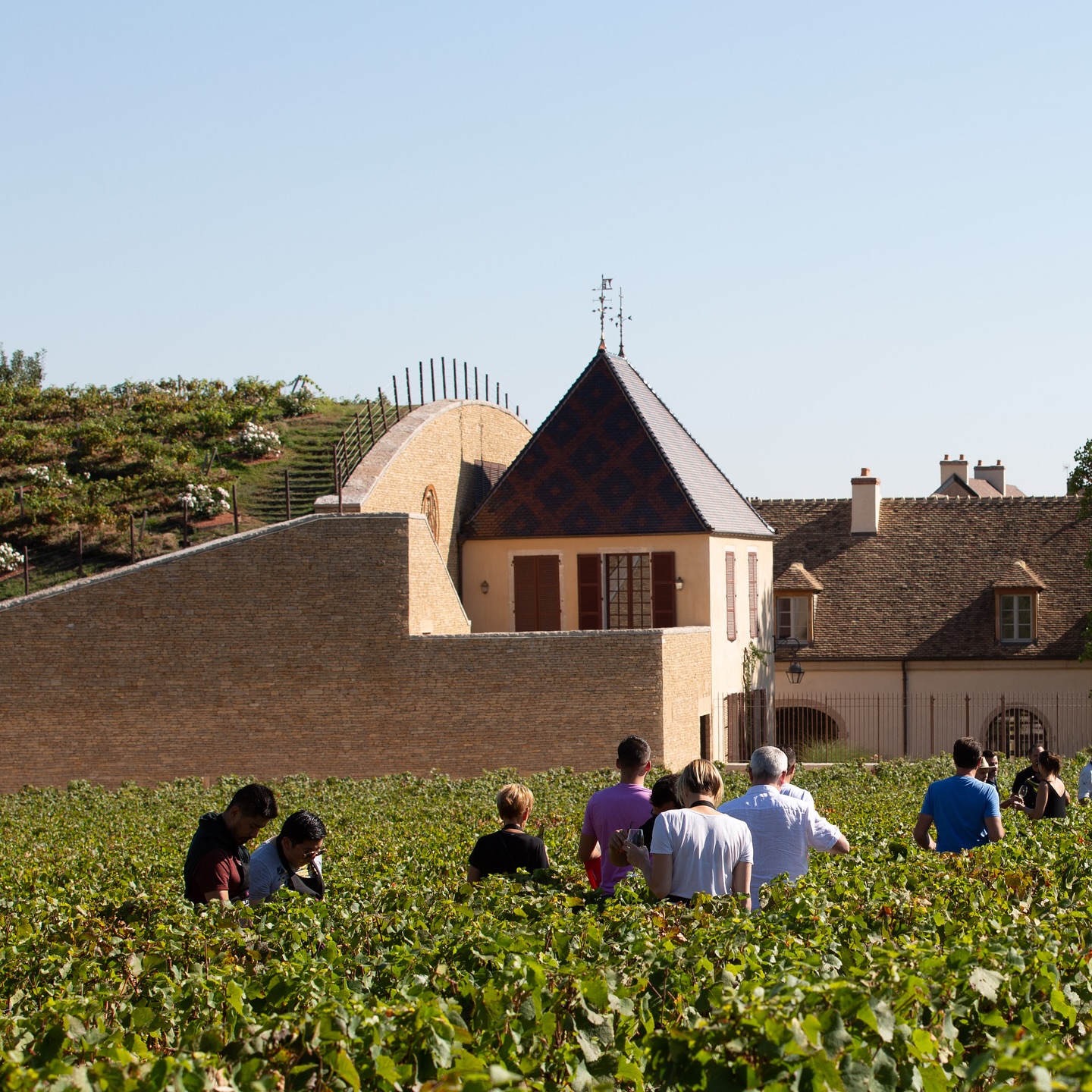 •C’est sur ce lieu que nous vous accueillerons pour notre première événement.
#bourgognefranchecomté
#vigne #vin
#gastronomie
#dinner
#dinnerparty
#cuisine #été
#nuitssaintgeorges
#bourguignon
#nature
#BourgogneTourisme
#Oenotourisme
#VinsDeBourgogne
#RouteDesVins
#ExpérienceVigneronne
#DomaineViticole
#ApéritifDansLesVignes
#DînerDansLesVignes
#WeekendEnBourgogne
#VignoblesEtDécouvertes
#SlowTourisme
#VinsFrançais
#ArtDeVivreBourgogne
#ÉtéEnBourgogne
#CaveÀVin
#MomentsGourmands