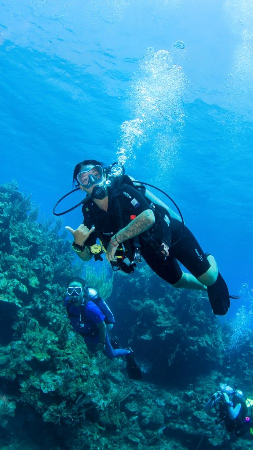 🌴 WORLD TOUR – Roatán, Honduras – Mai 2025
Ce World Tour fait sans aucun doute partie de mon Top 3 🌟
En mai 2025, j’ai vécu une expérience inoubliable dans un magnifique hôtel 5 étoiles sur l’île de Roatán, entre jungle luxuriante et plage paradisiaque.
J’avais le choix entre une chambre de luxe ou un bungalow privé, et j’ai finalement opté pour le bungalow… que j’ai adoré 🥰
Des chambres sublimes, une douche extérieure, une ambiance raffinée, une cuisine exquise, et un service aux petits soins – tout vibrait juste.
La plage était irréelle : sable blanc, eau turquoise, zéro vague, zéro algue… et à moins de 50 mètres du rivage, la 2e plus grande barrière de corail au monde. Un paradis pour plonger, respirer, se reconnecter.
Mais le plus précieux ?
Ce sont les connexions humaines. Les liens créés avec les autres ambassadeurs et membres de notre communauté de voyageurs sont uniques. On repart le cœur rempli.
💸 J’ai économisé 3 663 $ sur cette réservation.
Oui, voyager mieux et vivre grand, c’est vraiment possible.
💬 Laisse-moi un commentaire si tu rêves de vivre une aventure comme celle-là, ou si tu veux rejoindre notre prochaine escapade !
.
.
.
#roatan #worldtour #voyageuse #plagedereve #hotel5etoiles #paradisiaque #plongée #économie #expérienceunique #fyp #travoriumquebec #travorium