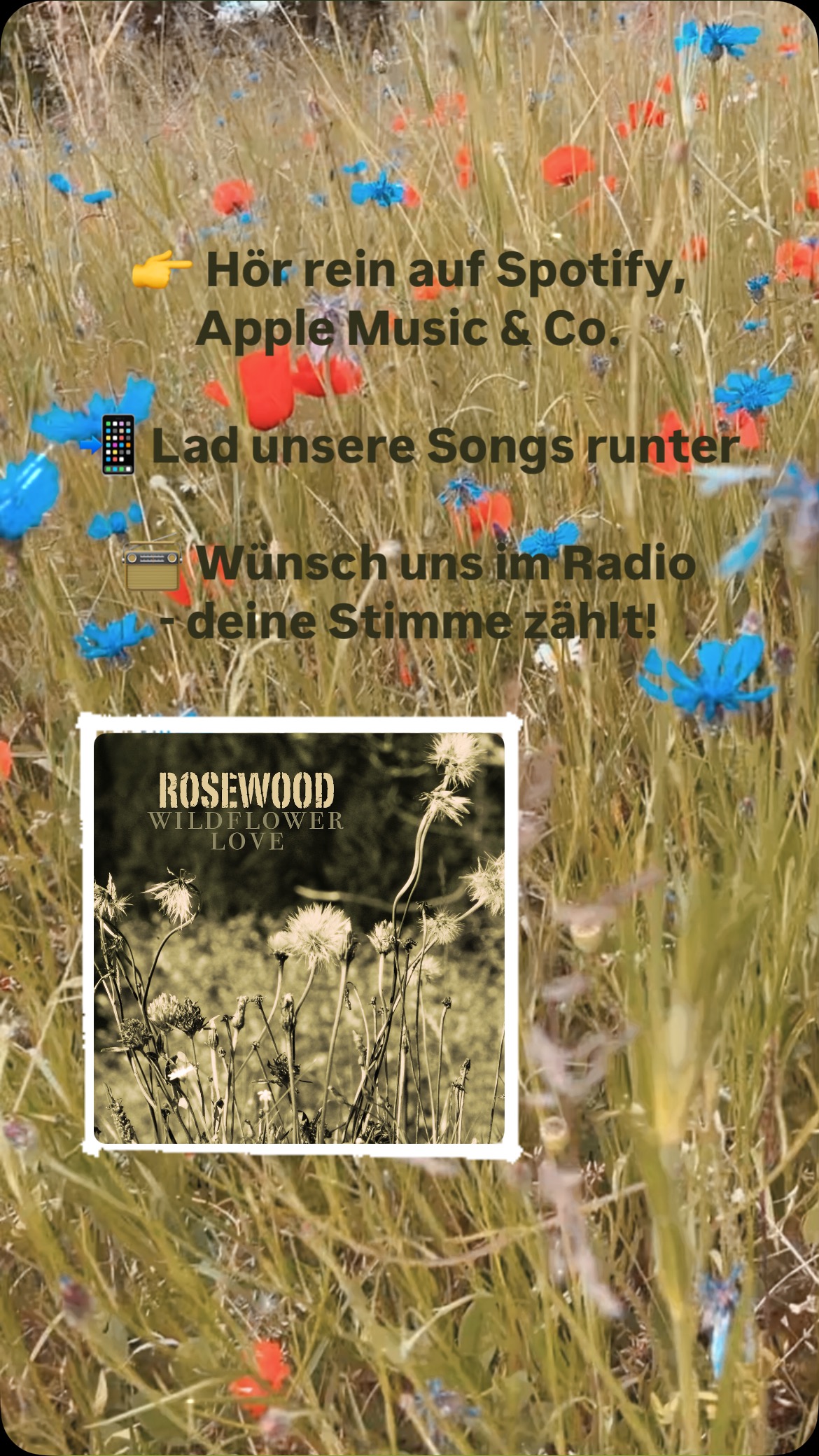 Unterstütze unsere Musik!
👉 Hör rein auf Spotify, Apple Music & Co.
📲 Lad unsere Songs runter.
📻 Wünsch uns im Radio – deine Stimme zählt!
Danke für euren Support – ihr macht das möglich! ❤️
#SupportLocalMusic #NewMusic #StreamNow #Radiowunsch #Danke #lifeisgoodwithrosewood #swissmusic #musicfromswitzerland #americana #wildflowerlove