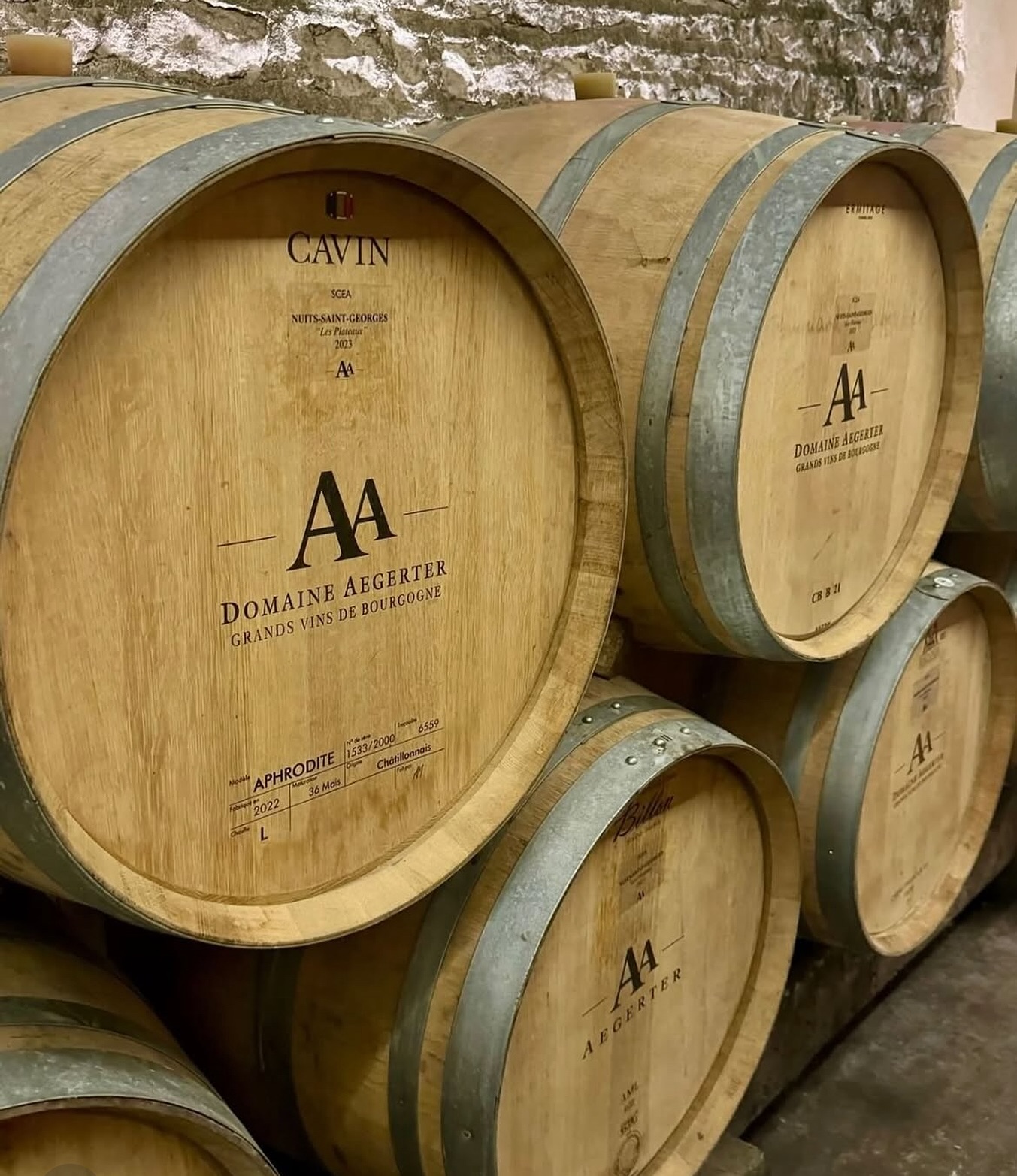 Rejoignez-nous pour un apéritif convivial et raffiné, à l’abri du soleil, dans l’intimité fraîche et authentique de la cave du domaine.
Un moment suspendu, entre vins et douce parenthèse estivale.
#BourgogneTourisme
#Oenotourisme
#VinsDeBourgogne
#RouteDesVins
#ExpérienceVigneronne
#DomaineViticole
#ApéritifDansLesVignes
#DînerDansLesVignes
#WeekendEnBourgogne
#VignoblesEtDécouvertes
#SlowTourisme
#VinsFrançais
#ArtDeVivreBourgogne
#ÉtéEnBourgogne
#CaveÀVin
#MomentsGourmands