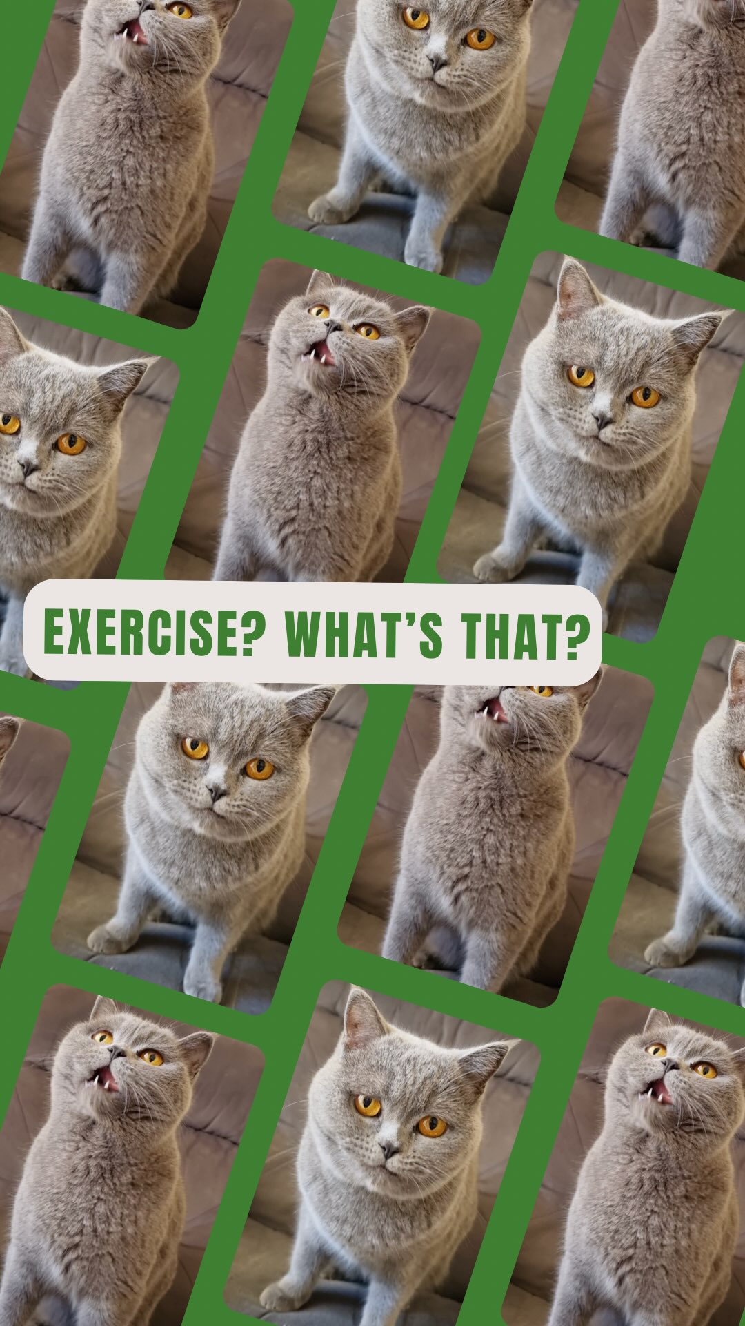 Exercise? Can I have a snack instead? 👀