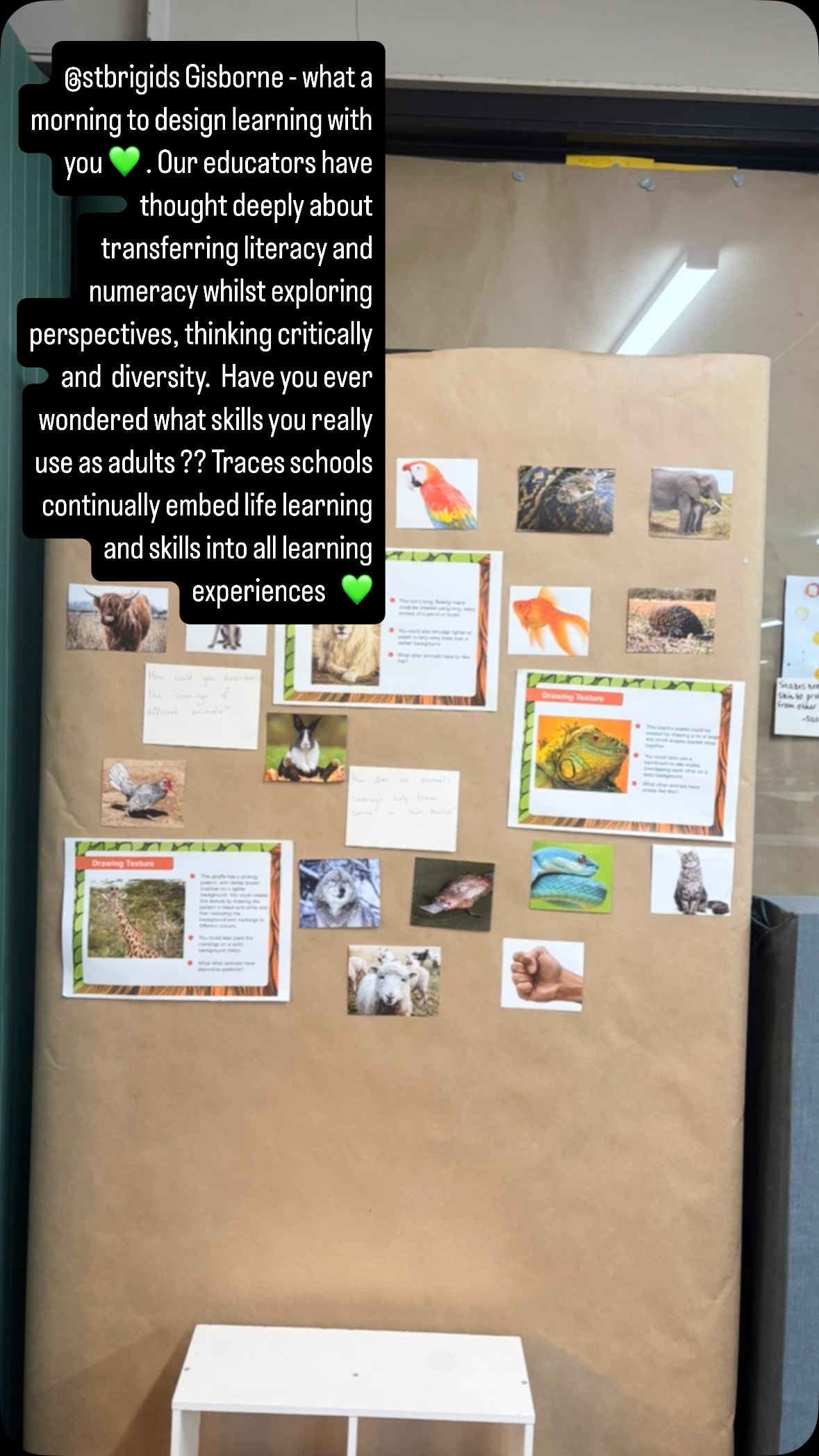 @sbgisborne 💚💚 inquiry design today and transferring explicit literacy and numeracy into learning experiences.