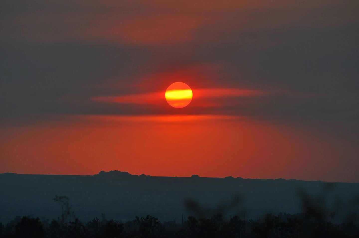 Le printemps est terminé, et l’été est là. Célébrons la Nature au sommet du cycle solaire.
Nous t’invoquons, Ô Père, rayonnant de tes rayons lumineux, Ô Parent invisible du Soleil, répands ta puissance vivifiante et énergise-nous. Que ta Lumière nous éclaire, et que la hauteur, la largeur, la plénitude et la couronne de ton rayonnement solaire nous dynamisent.
#eglisegnostiqueapostolique