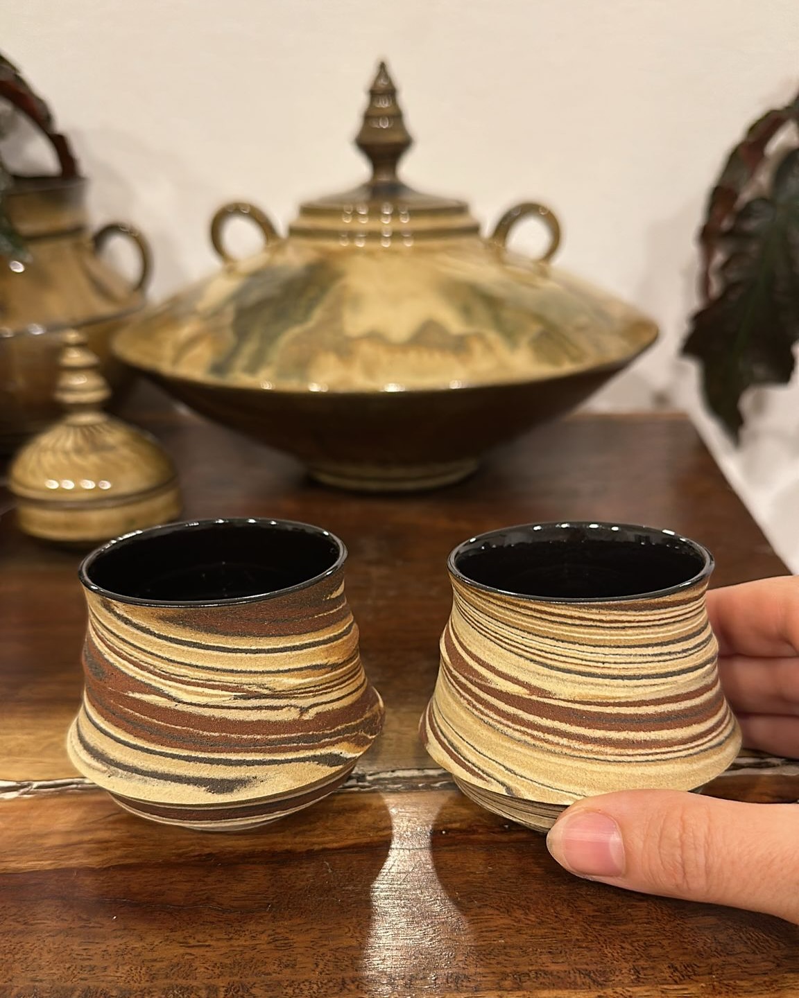 קולקציית מדבר 🤎