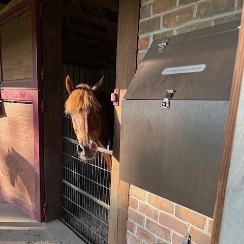 Fly spray? Check. Curry comb? Check. Not tripping over your brushes? Finally, check. 🐴☀️ Stay organized all summer with our grooming wall box! Thank you Kathy for sending us a photo :)