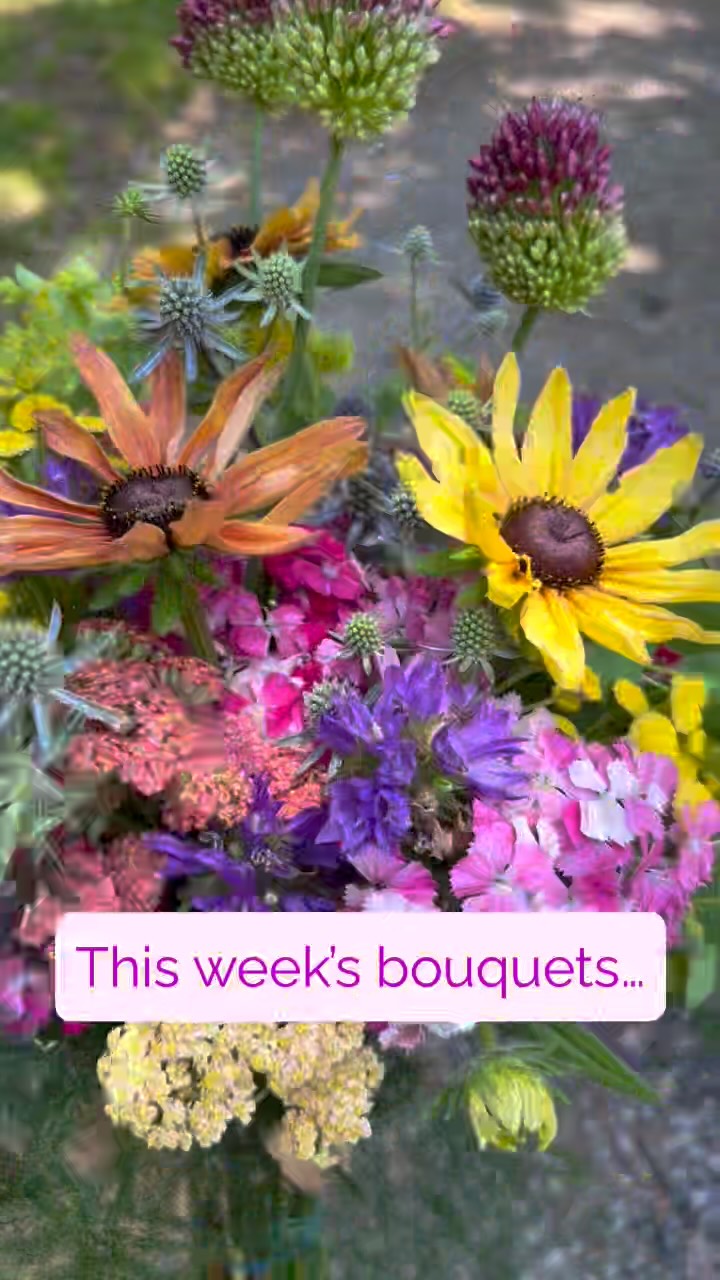The bouquets this week still feature a lot of great perennial textures this week! Check them out at one of our markets, Clarke County or Old Town Alexandria tomorrow! #walkingwindfarmandflorist #oldtownalexandriafarmersmarket #clarkevafarmmkt #berryvilleva #clarkecountyva #oldtownalexandria