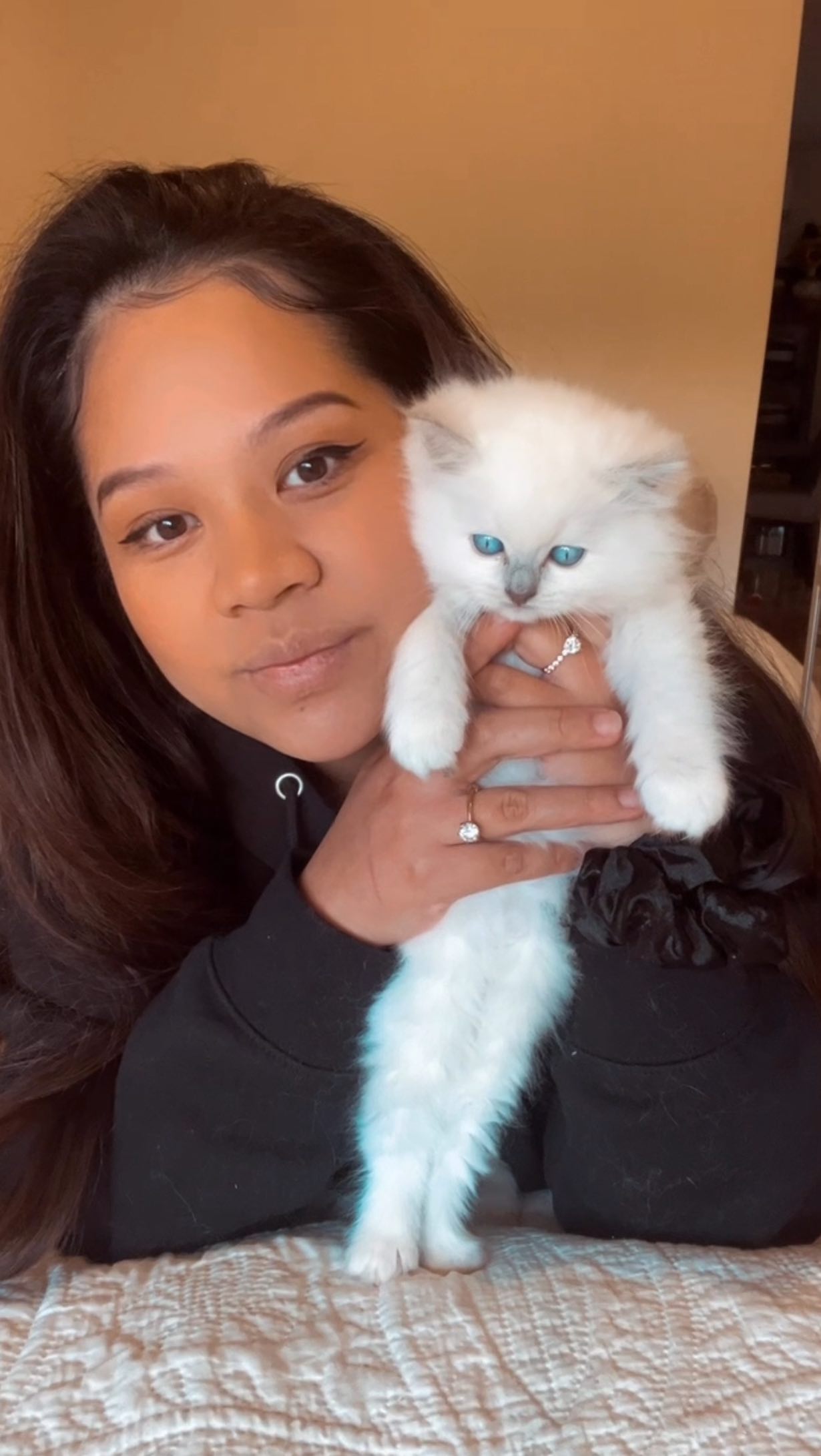 Nami’s litter of three at 7 weeks old 🩷
www.purrsace.com
Purrsace Ragdolls
GCCFV registered breeder
Source# RB10973
#ragdollsofinstagram #ragdollbreeder #catsofmelbourne #catsofinstagram #catsofaustralia #ragdollsofaustralia #ragdollsofmelbourne #ragdollcat #catloversworld #kittenstagram #catofday #catsdoingthings #dogsandcats #catphotography