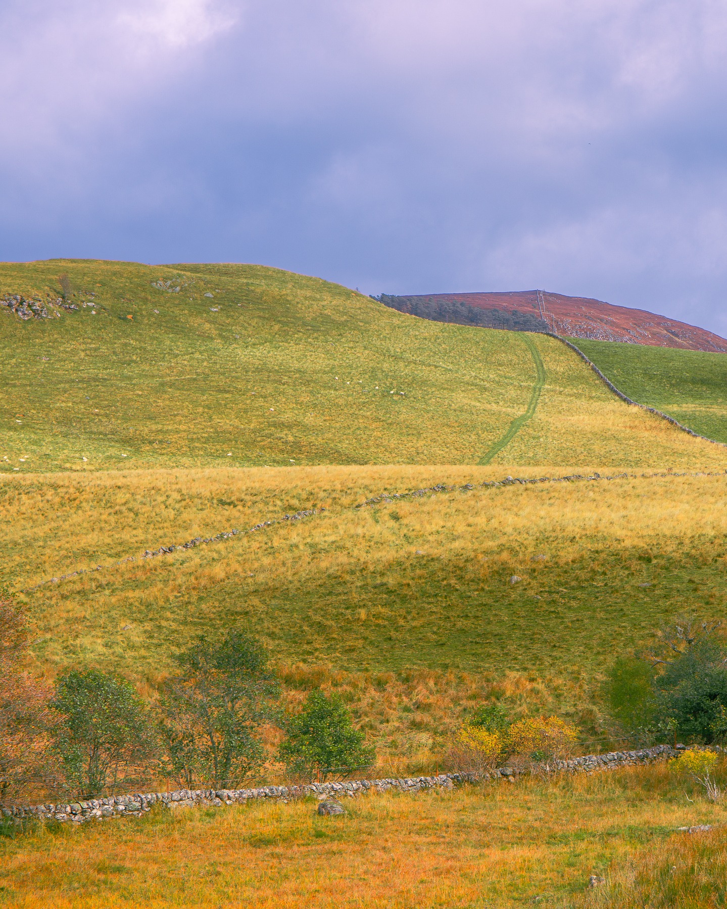 A quiet patch of land doing exactly what it's always done.
#ScotlandLandscape #PerthshireViews #Blairgowrie #CountrysideDreaming #RollingHills #TranquilScenery #StoneWallBeauty #VisitScotland #ScotlandExplored #NatureLovers #LandscapePhotography #ScottishCountryside #UKScenery #FieldsAndSky #ScotlandInAutumn #RuralScotland #EarthFocus #TravelScotland #NatureBrilliance #CountryLiving #PeacefulPlaces #NaturalBeauty #HistoricLandscapes #VisualsOfScotland #SkyScapes #CountrysideWalks #PhotographyLovers #SlowTravel #OutdoorScotland #ScotlandThroughMyLens