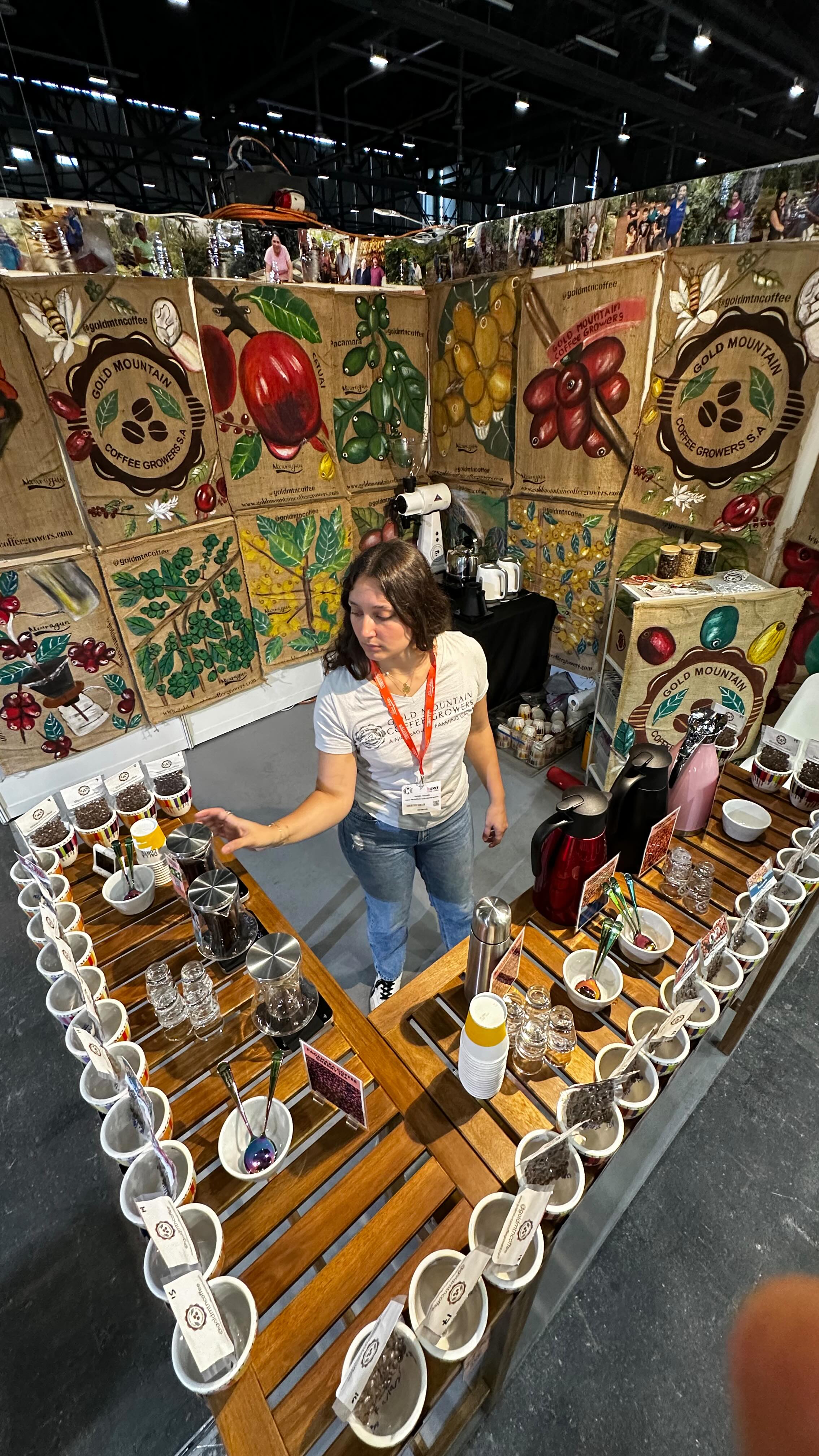 🥄 If you’d like to cup our geisha, carbonic macerations, fruit ferments, honeys, washeds, naturals, exotic varieties, and volume specialty lots, just click the link in our profile (booth 1664 WOC Geneva).
💌 If you can’t make it, give a holler at the contact link in our profile.
We’re set up, have sample roasted like crazy and are ready to cup at #wocgeneva !
#greencoffee #specialtycoffee #nicaragua #naturalprocess #honeyprocess #thirdwavecoffee #coffeesourcing #maracaturra #directtrade #directtradecoffee #coffeeprocessing #sustainablecoffee #biodynamiccoffee #coffeeprocessing #coffeefarm #sampleroasting #goldmtncoffee #coffeefermentation #carbonicmacerationcoffee #nicaraguancoffee #fightingpoverty #washedprocess #yellowcaturra #maragogype #fruitfermentcoffee #coffeesapling #fruitfermentationcoffees