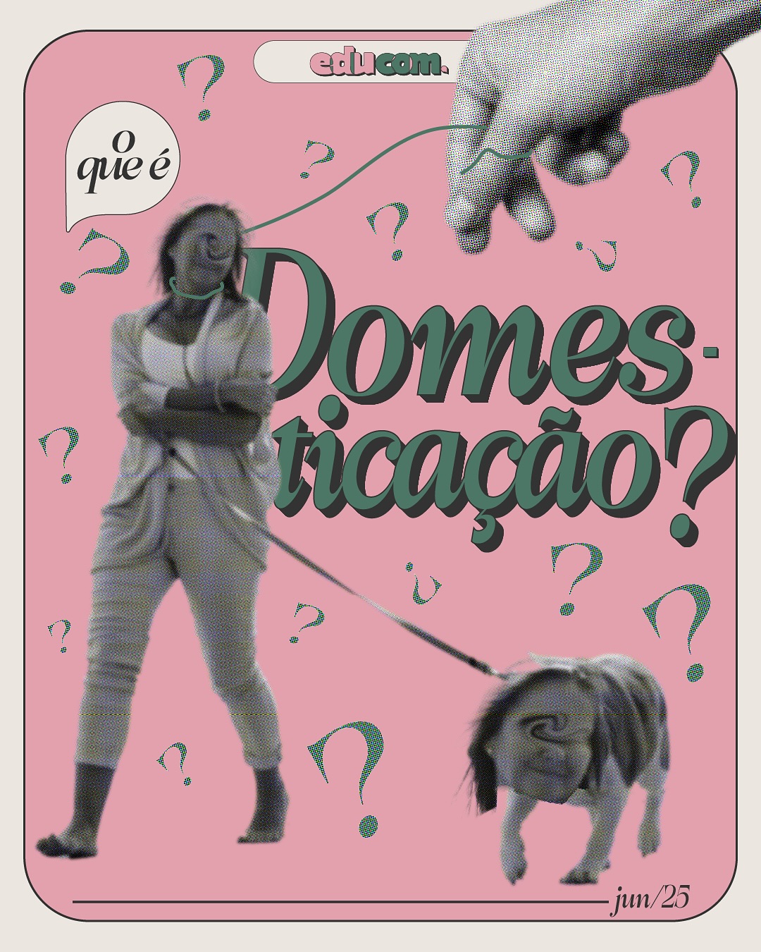 Ei, você! Já ouviu falar do termo “Domesticação”?
Caso a resposta seja não, você está no lugar certo: na parte 03 do quadro #VocabulárioFreiriano, explicaremos um pouco dessa ideia, que foi desenvolvida por Paulo Freire em seus estudos.
Se você tem uma sugestão de termo a ser trabalhado na próxima parte, deixe nos comentários!
#paulofreire #educom #ufu #sósefazjunto