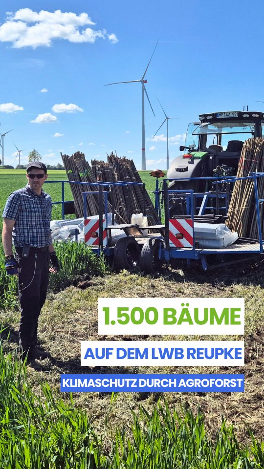 🌍💚 Unser Klimaschutzprojekt Nummer 8 haben wir Anfang Mai auf den Flächen des LWB Reupke in Niedersachsen realisiert:
🌳 1.500 schnellwachsende Pappeln
🌳 5,4 Hektar Agroforstsystem
🌳 17 Tonnen CO₂Bindung pro Jahr
🌳 250 Tonnen CO₂ Bindung über die gesamte Projektlaufzeit
Die Motivation für #Agroforst liegt für Landwirt Viktor Reupke in den Standortbedingungen seines Betriebs. In dem Windpark-Gebiet treten immer häufiger Windhosen auf, die extreme Windverhältnisse schaffen. Mit den gepflanzten Baumreihen soll zukünftig der durchziehende Wind gebrochen und die zunehmend erwärmte Luft im unteren Bodenbereich gekühlt werden. Langfristig können die Bäume dauerhaft bessere klimatische Bedingungen schaffen.
🙌 Jetzt unterstützen - Gemeinsam pflanzen wir Bäume! Mehr Infos über die Projekte und VIVO Carbon 👉 Link in Bio
#agroforst #agroforstsysteme #co2 #klimaschutz #umweltschutz #biodiversität #klimawandel #naturschutz #vivocarbon #regenerativelandwirtschaft #agroforestry #agroforestrysystems #biodiversity #carbonremoval
@defaf_ev
@lignovis
@landvolkniedersachsen