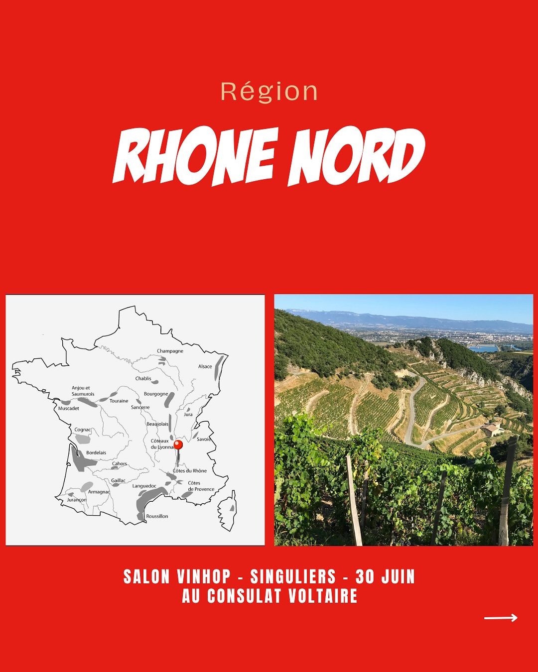 À la rencontre des vignerons du Rhône septentrional.
@elsa_gangloff
@domaine_pj_villa
@hugo_et_pauline_villa
@cluselroch
@cecillon_wines
@domainevernay
@domainebonnefond
@matthieu_barret_cornas
@caveyvescuilleron
@domaine_combier
@domaine.francois.villard
@domaine.jasmin
@domainealainvoge
@chateauledevay
#AymericPaillard
@julien_pilon
Venez les découvrir lors de notre salon SINGULIERS, où plus de 90 vignerons seront présents.
📍Le Consulat Paris 11ème
📆 30 juin 2025
‼️Réservé aux professionnels - lien d’inscription en bio